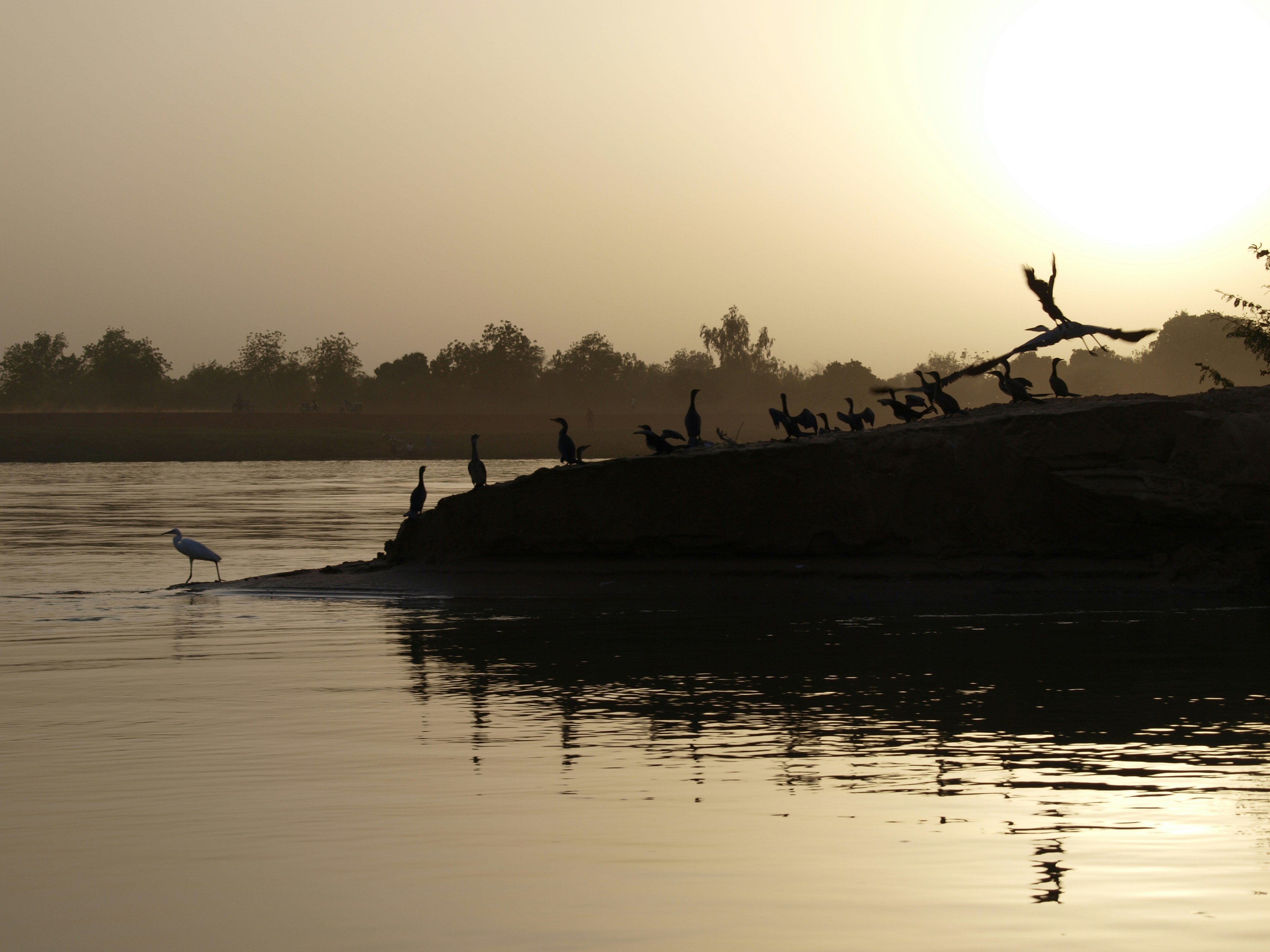 Free Unsplash photo from Stephen Edwards