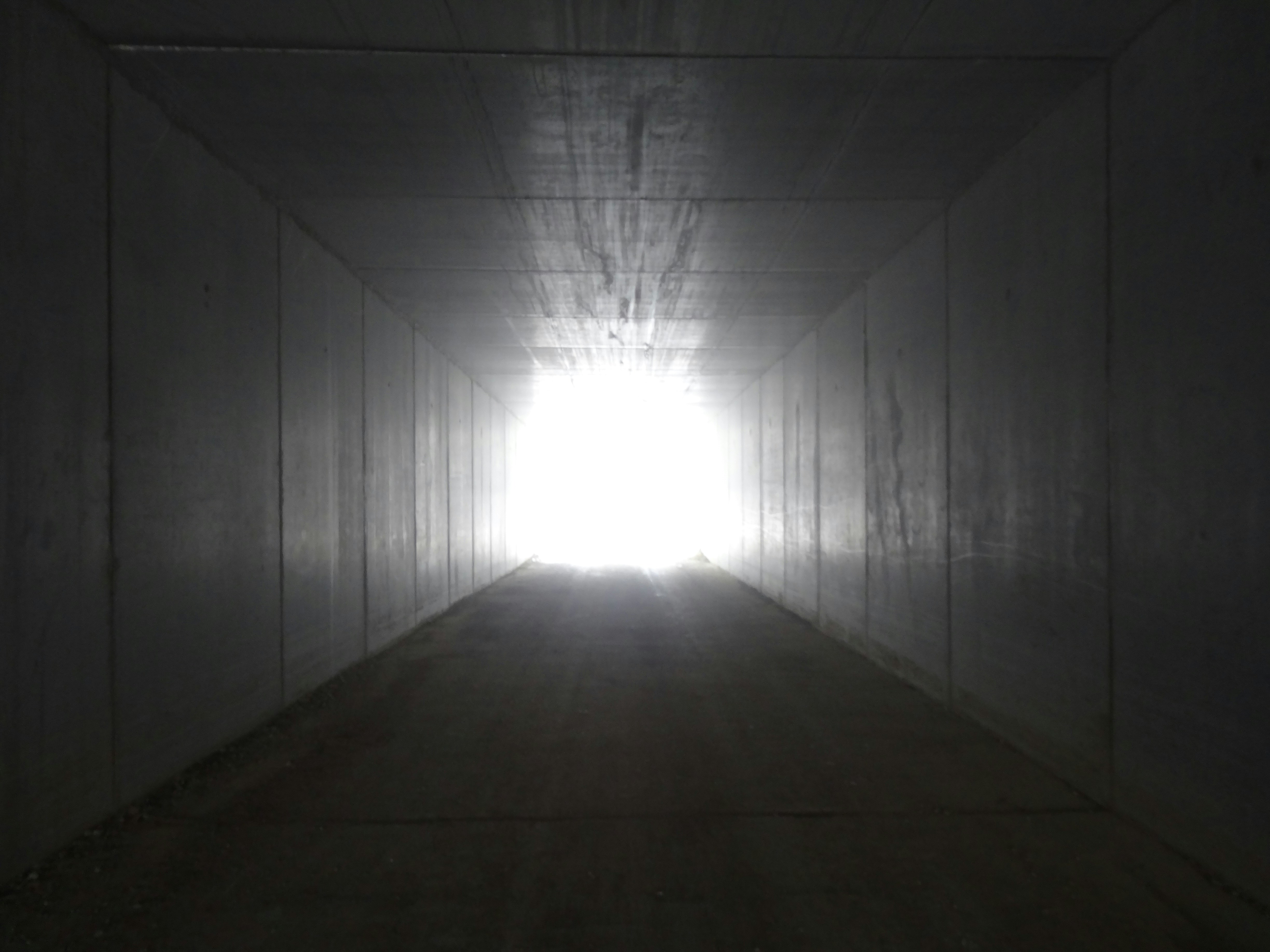 Free Unsplash photo from Ervin Lemark