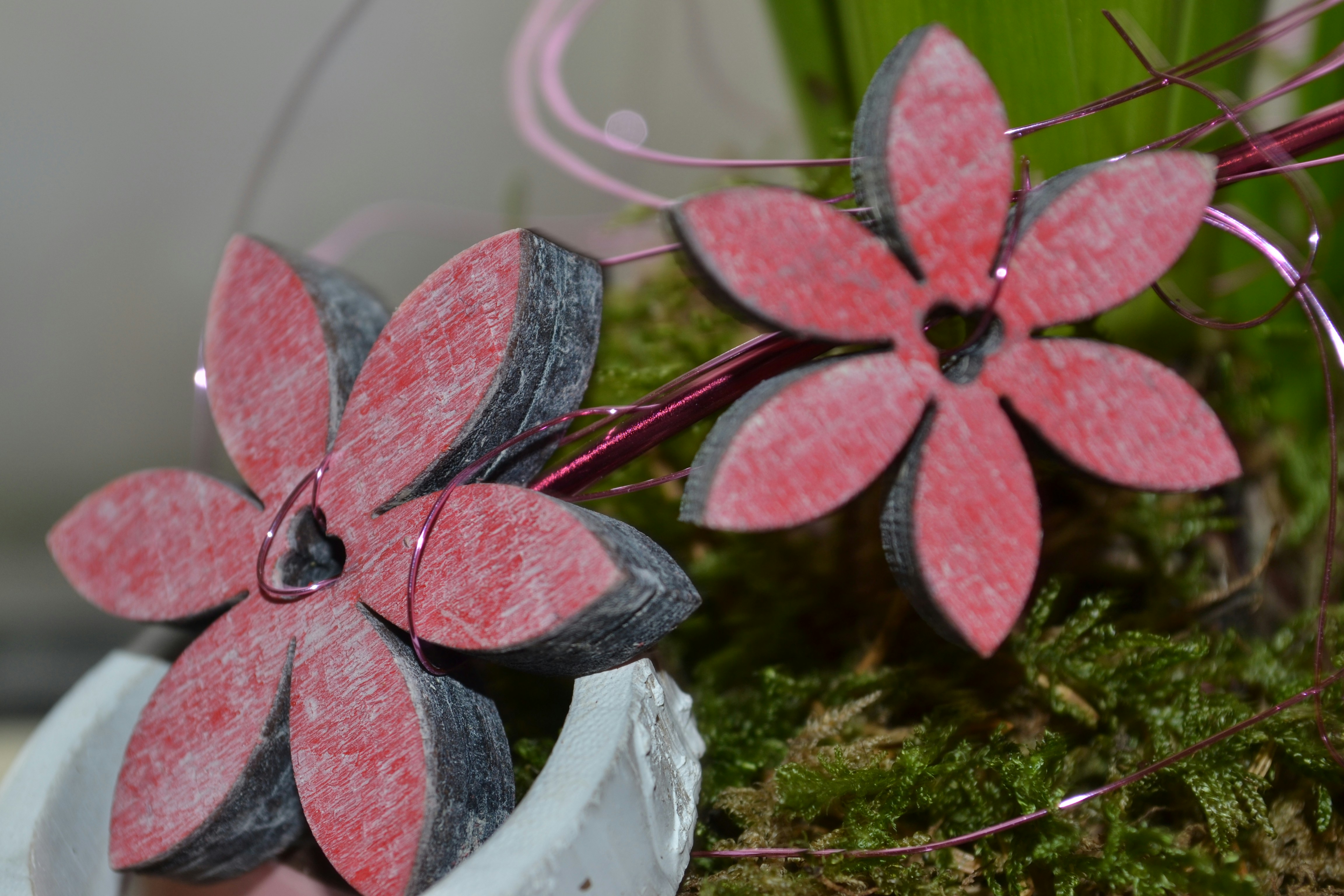 Free Unsplash photo from Anna Weiß