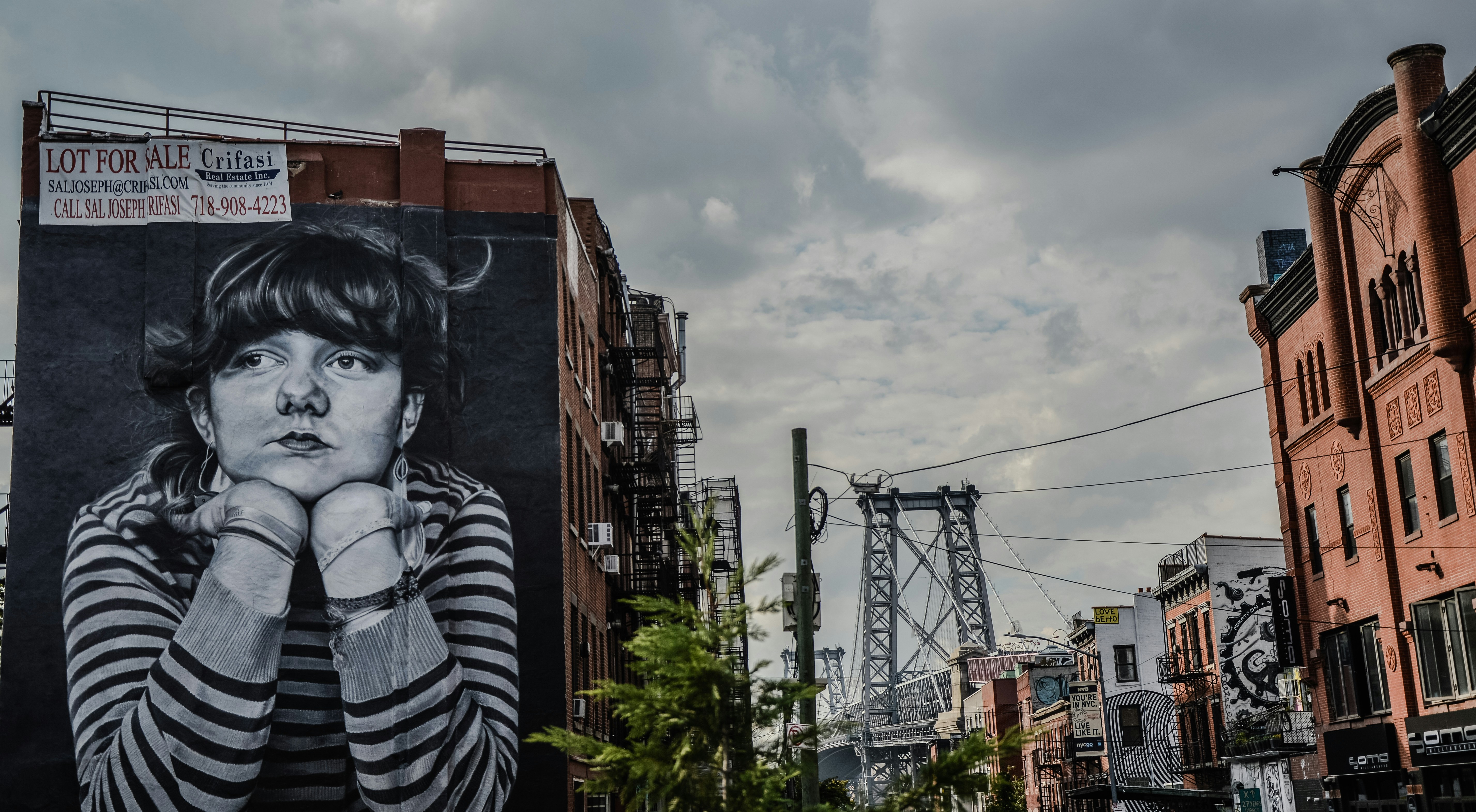 Free Unsplash photo from Alice Pasqual