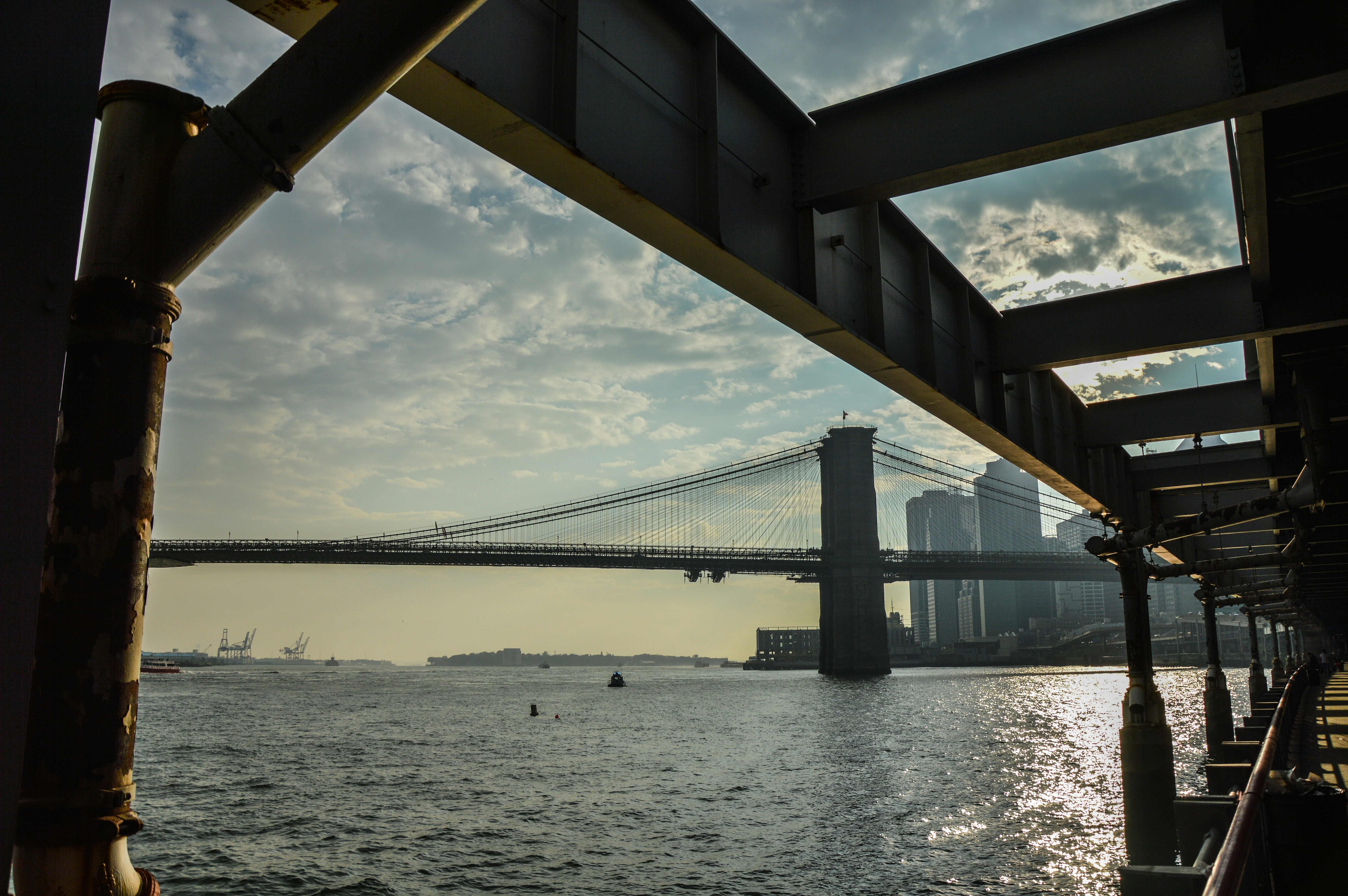 Free Unsplash photo from Alice Pasqual