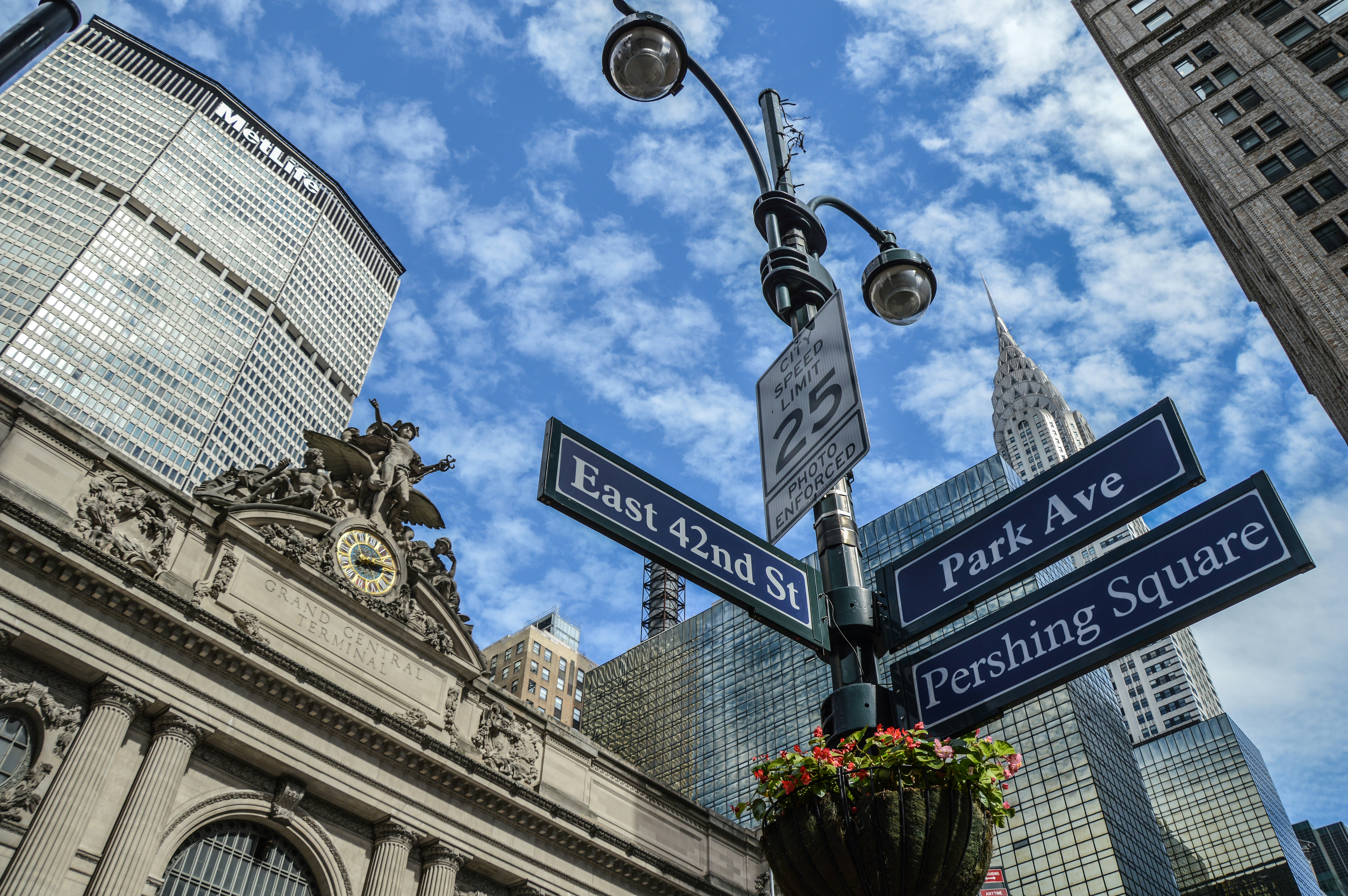 Free Unsplash photo from Alice Pasqual