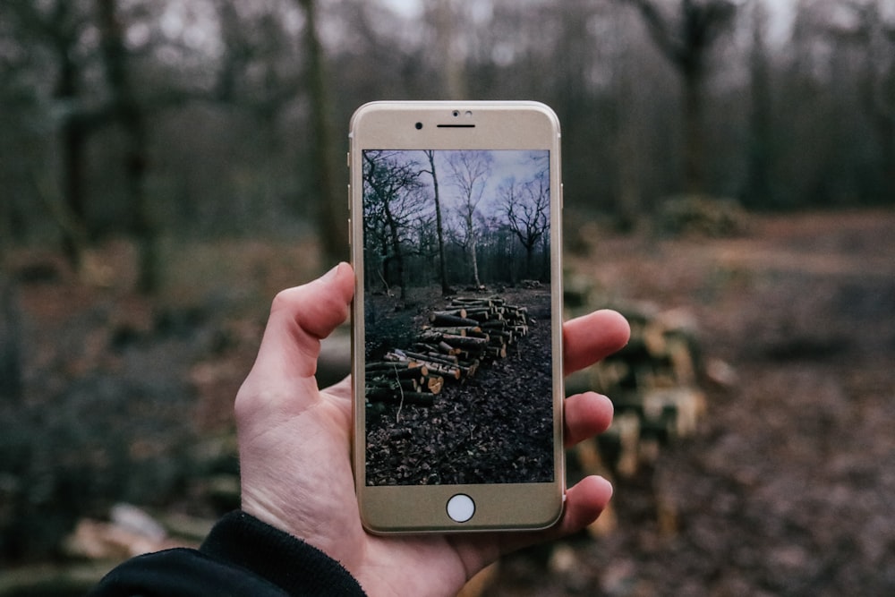 person taking a photo of firewoods using iPhone