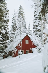 snow covered wooden house during daytime