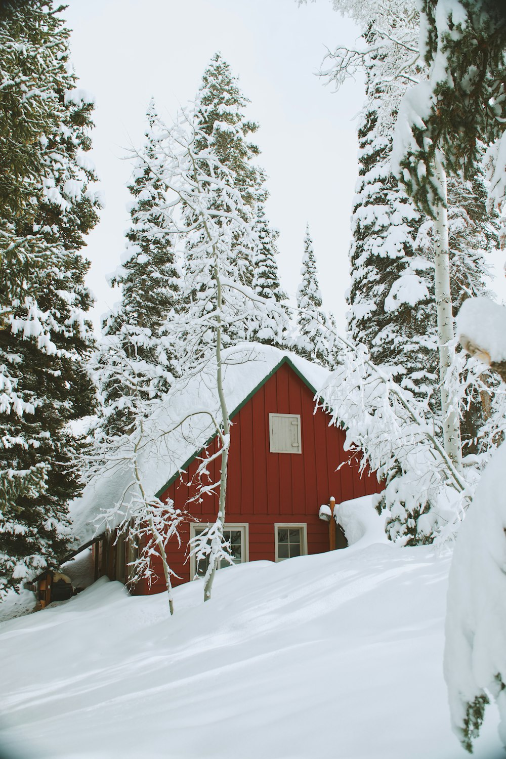 Casa de madera cubierta de nieve durante el día