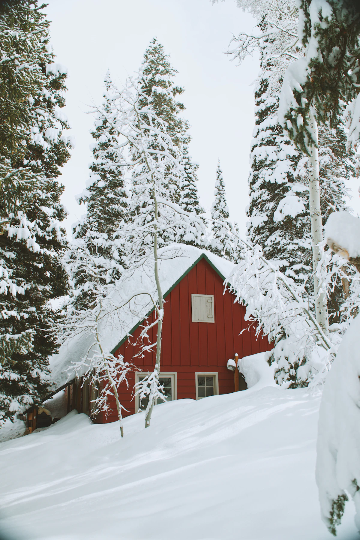 Snow-covered wooden house in winter