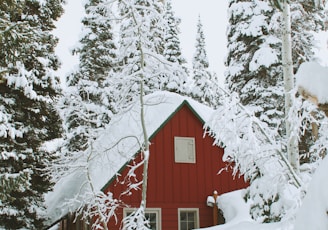 snow covered wooden house during daytime