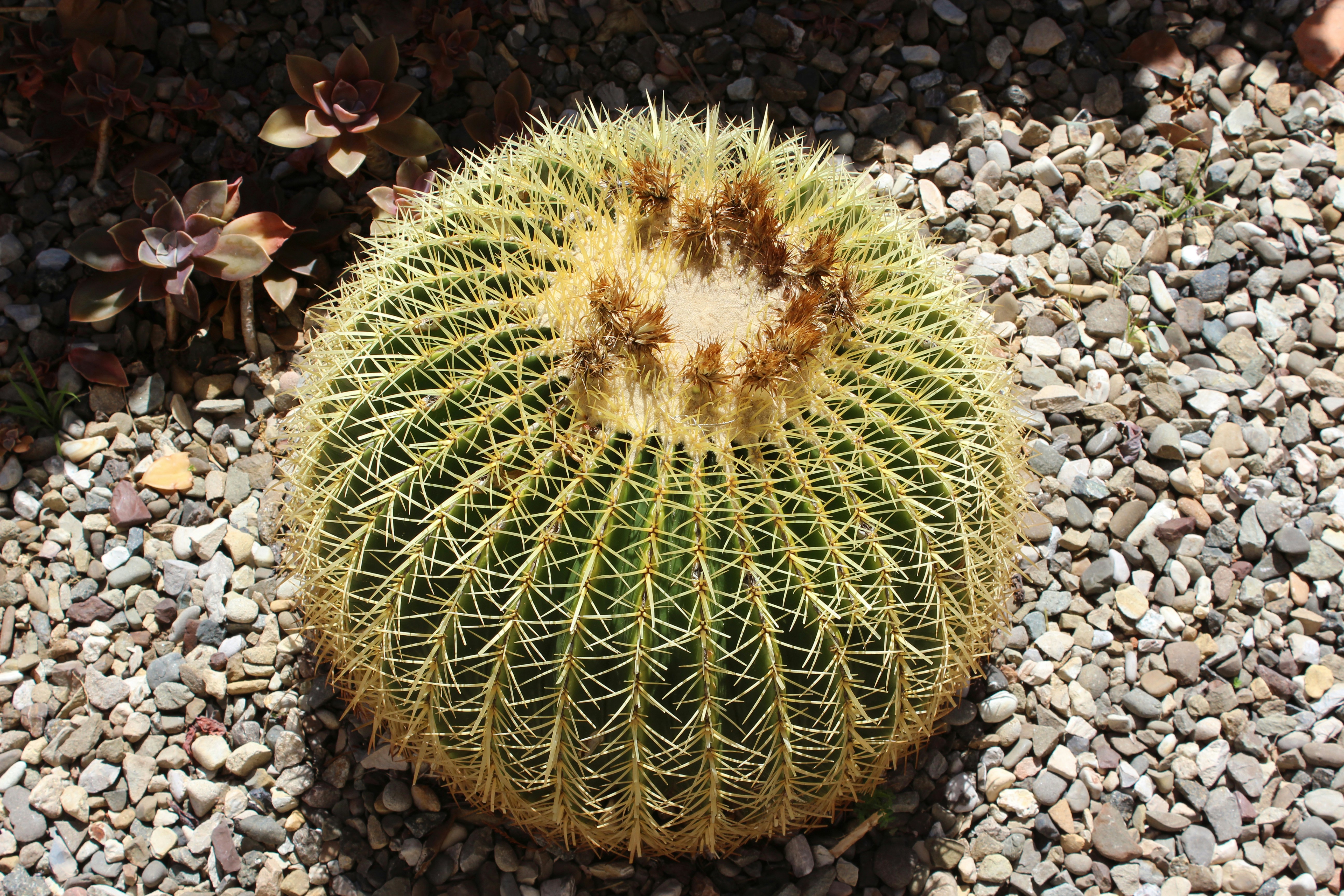 Free Unsplash photo from Emily Black