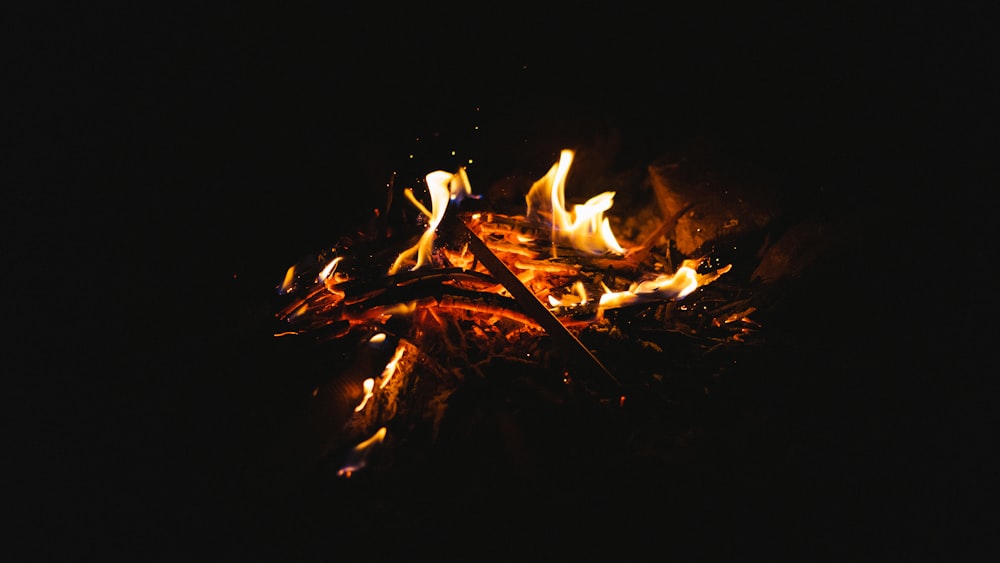 low-light photography of bonfire