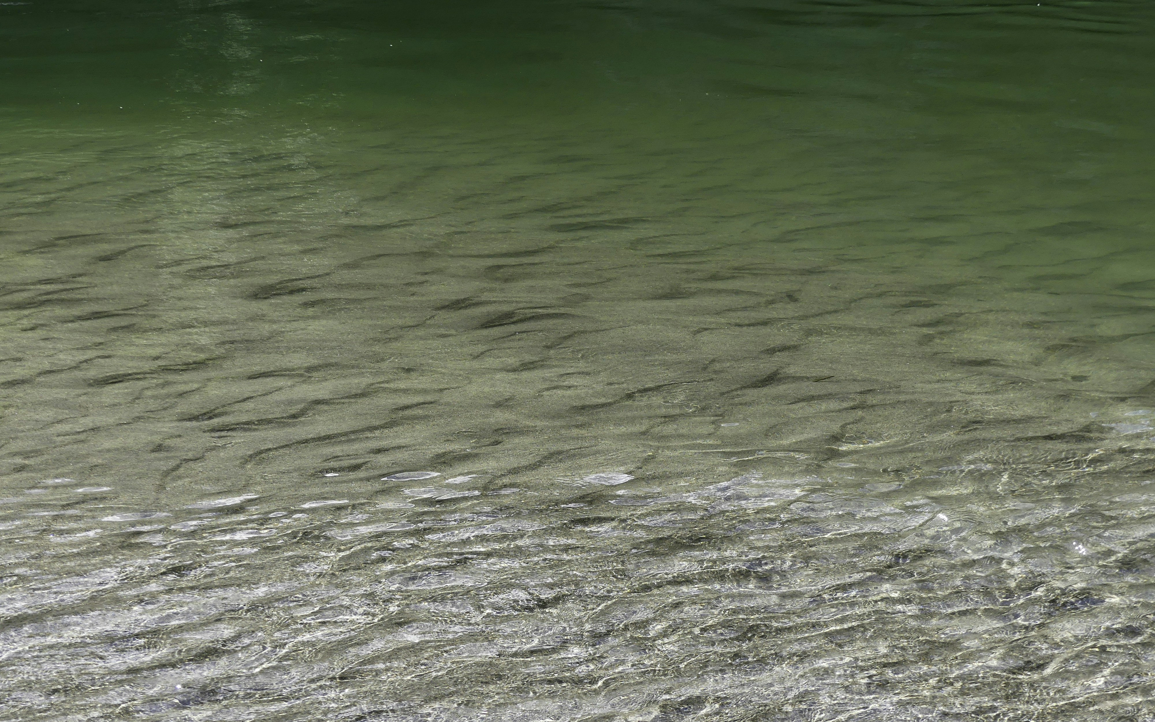 Free Unsplash photo from Tyler Lastovich