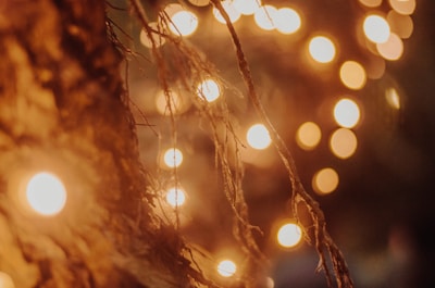 Subject sharply lit against a blurred golden-hour bokeh background.