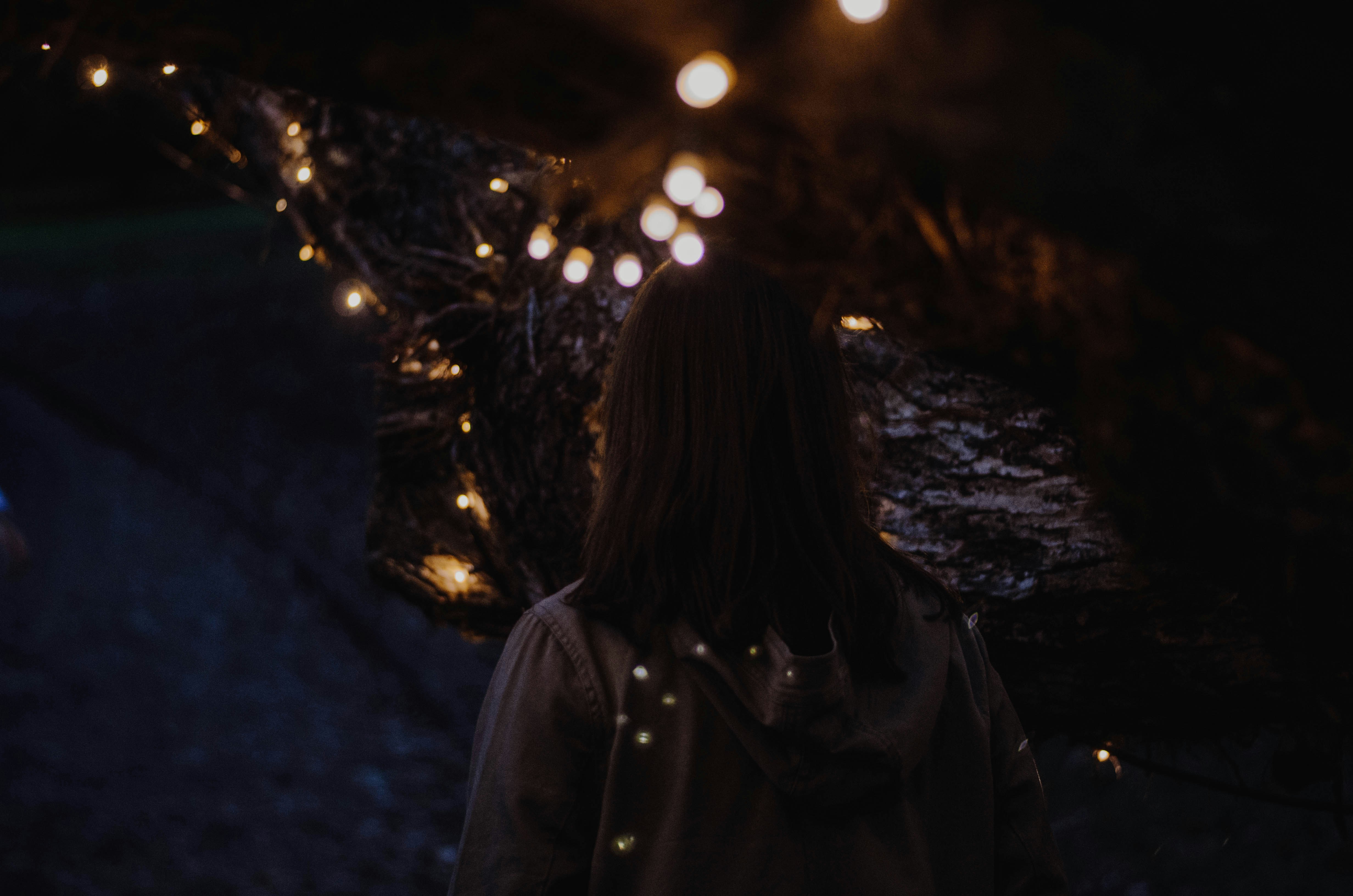 Free Unsplash photo from Dev Benjamin