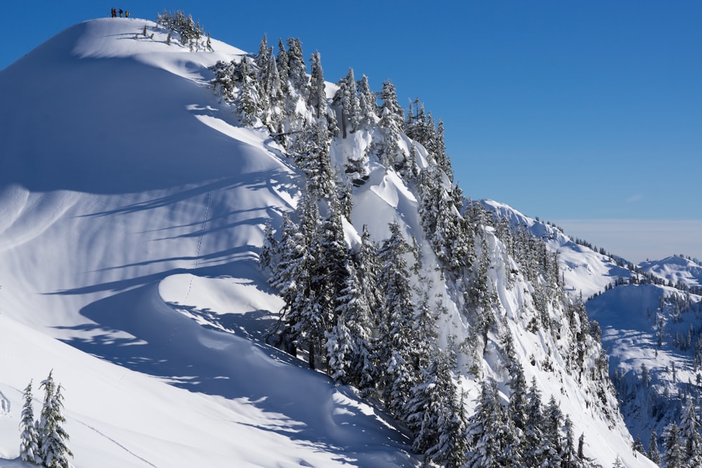 mountains covered with snow