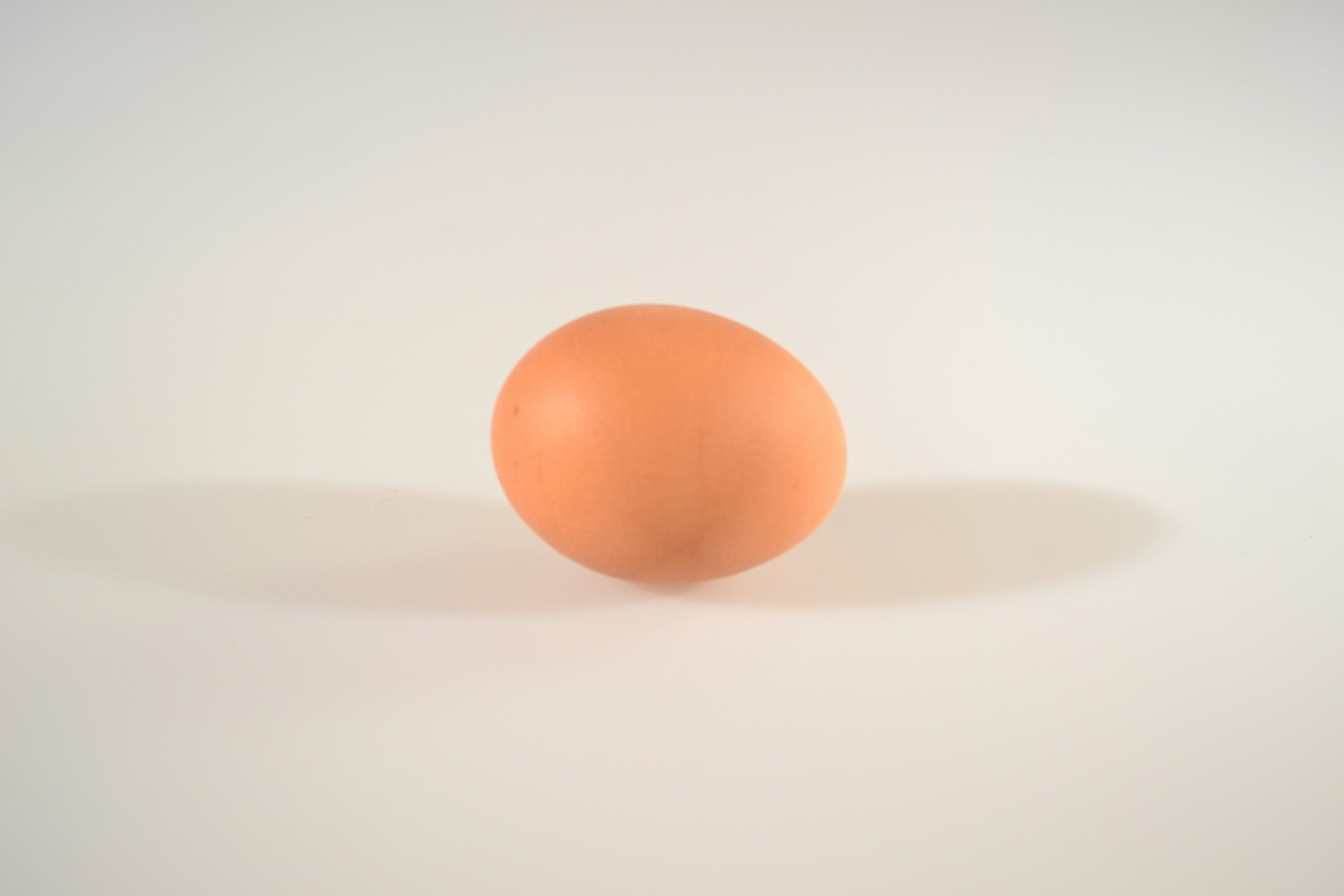 Free Unsplash photo from Arina K