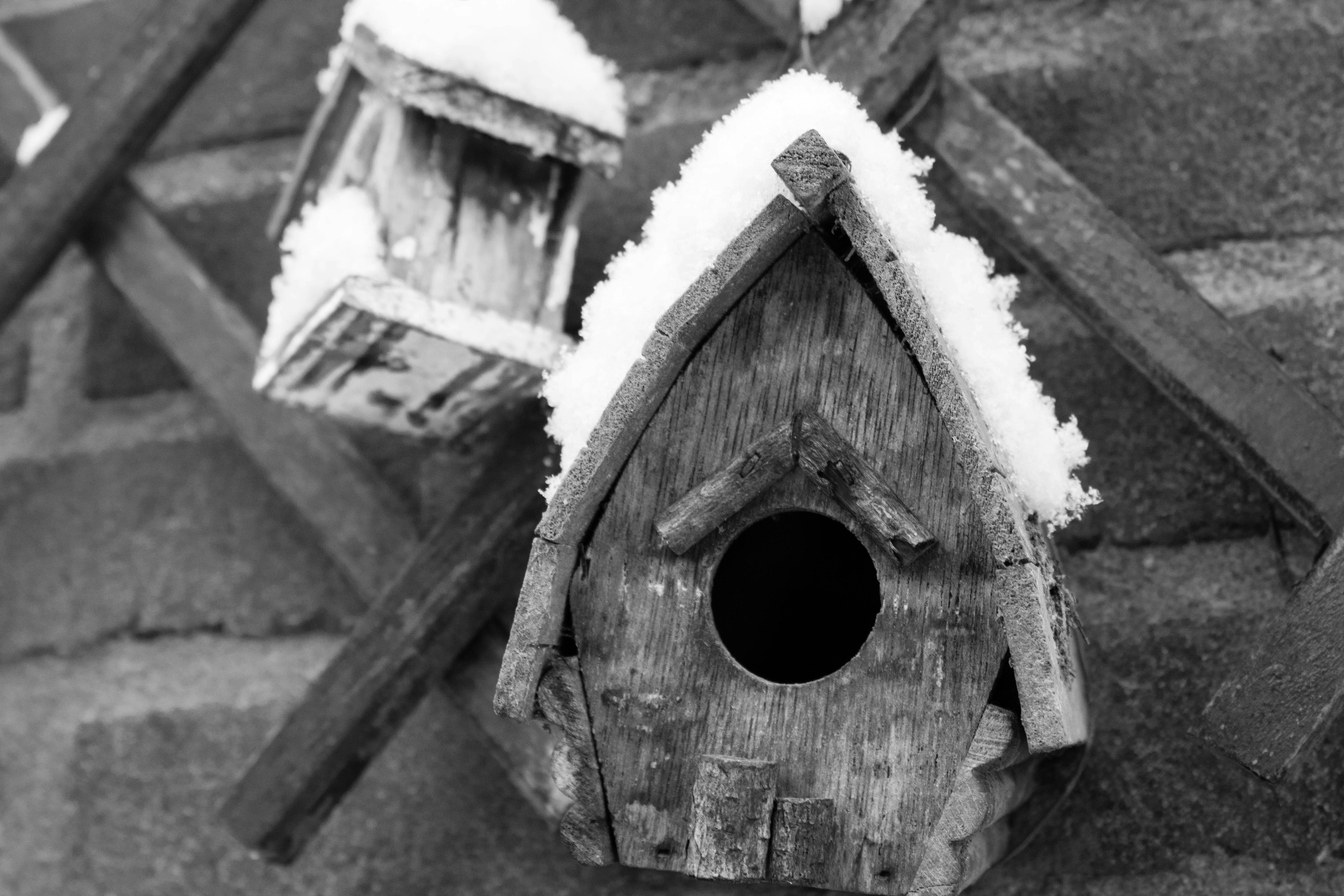 Free Unsplash photo from Robin Vink