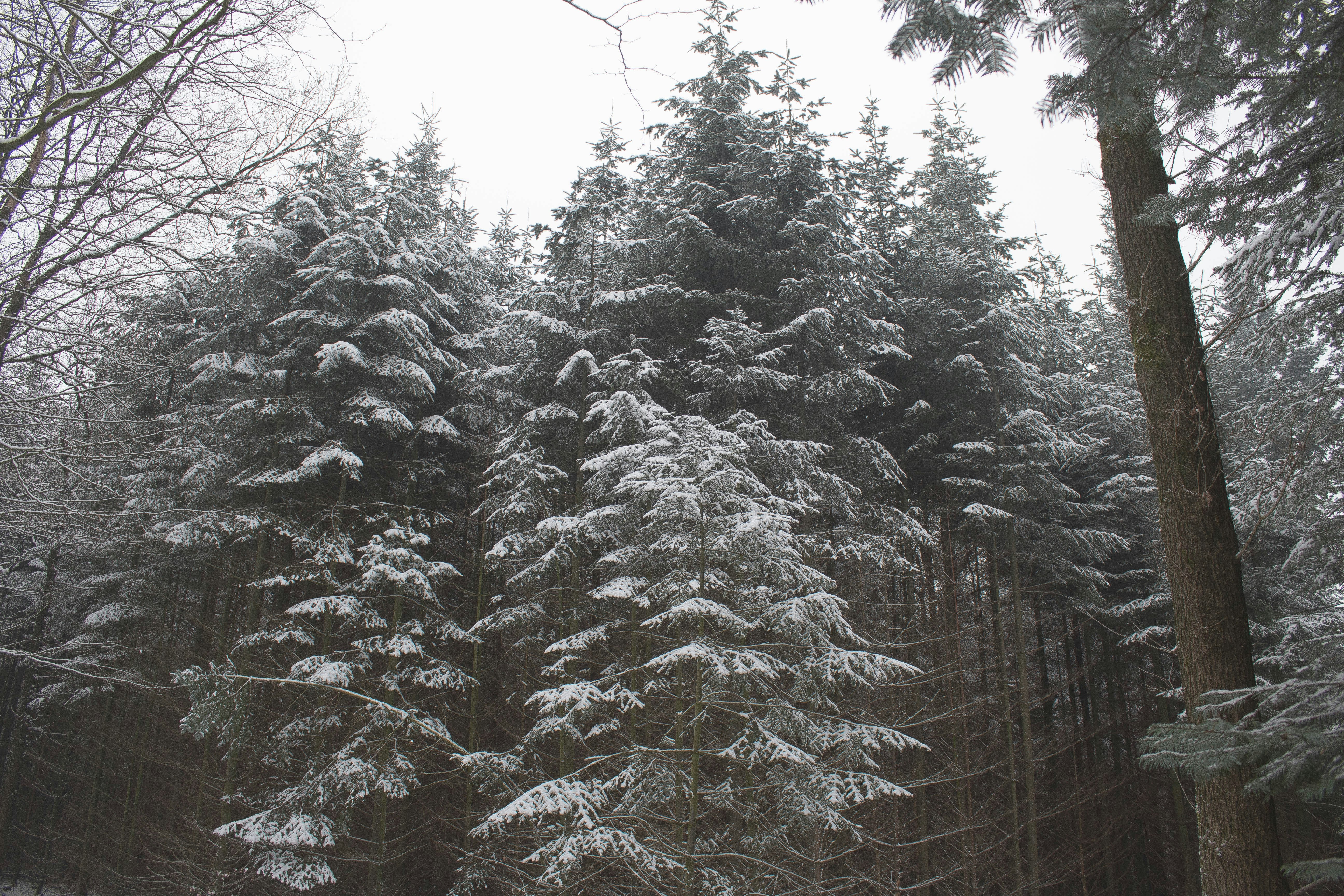 Free Unsplash photo from Robin Vink