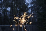 Elegant daytime fireworks lighting up a wedding ceremony outdoors.
