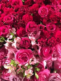 A lush arrangement of red and pink flowers featuring roses and carnations. The blooms are densely packed, creating a vibrant, abundant display. Delicate greenery peeks through, adding contrast to the vivid colors.