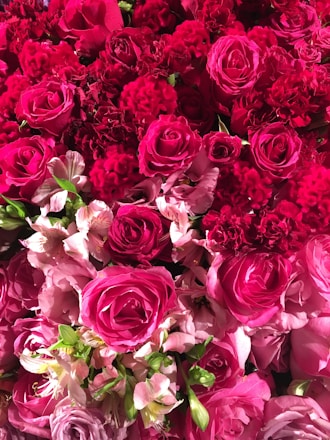 A lush arrangement of red and pink flowers featuring roses and carnations. The blooms are densely packed, creating a vibrant, abundant display. Delicate greenery peeks through, adding contrast to the vivid colors.