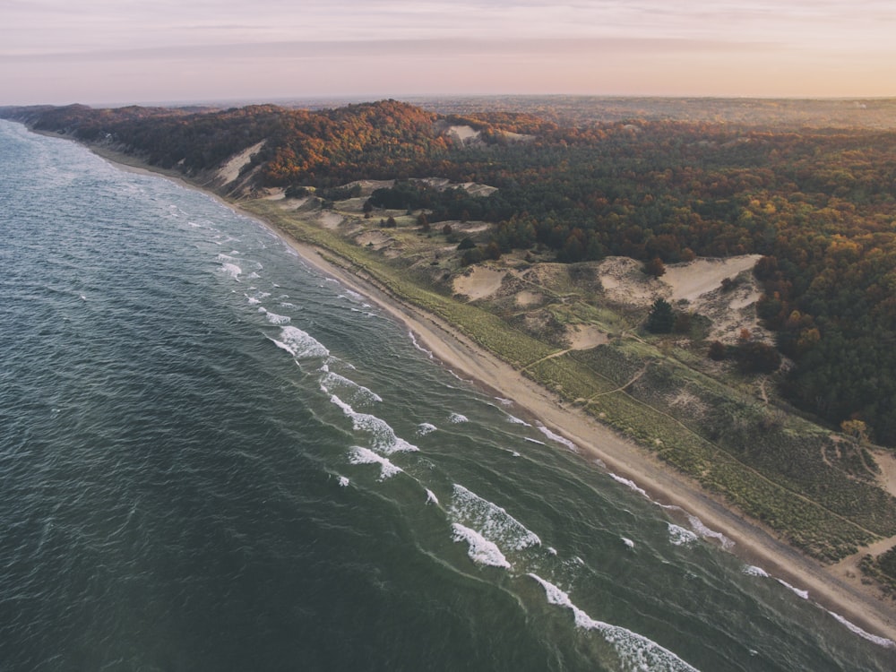 aerial photograph of seaside with forest