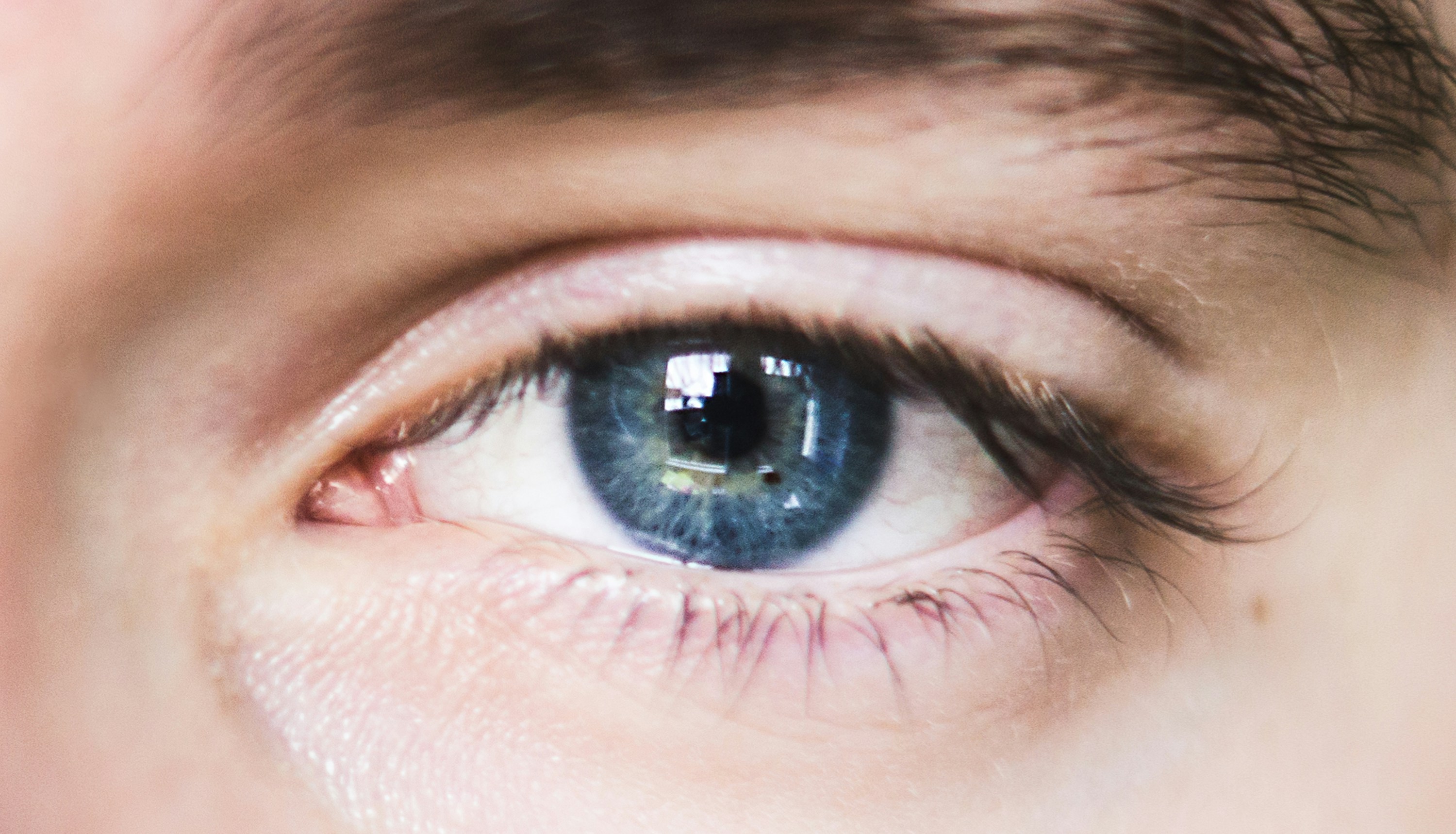 Free Unsplash photo from Till Wi