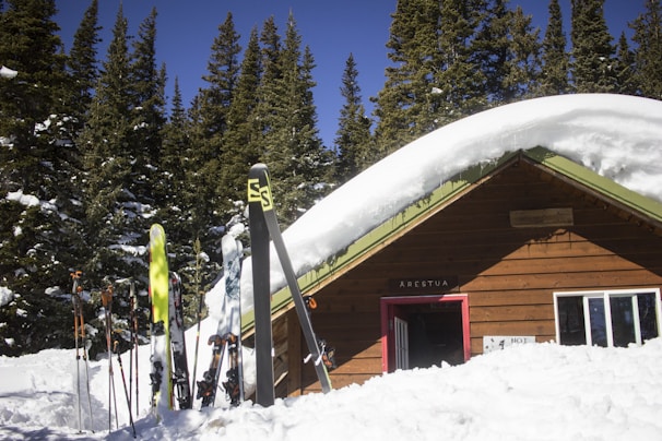 Laroy LLC skis leaning against a rustic wooden cabin surrounded by pine trees.