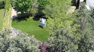 A lush green garden surrounded by various types of trees and bushes with a cleared pathway. A canvas on an easel is positioned on the grass, suggesting a space for art or leisure. The scene is viewed from above, providing a detailed view of the garden's layout and vegetation.