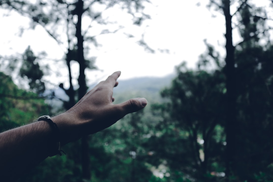 A person reaching their hand out into an elevated forest area.