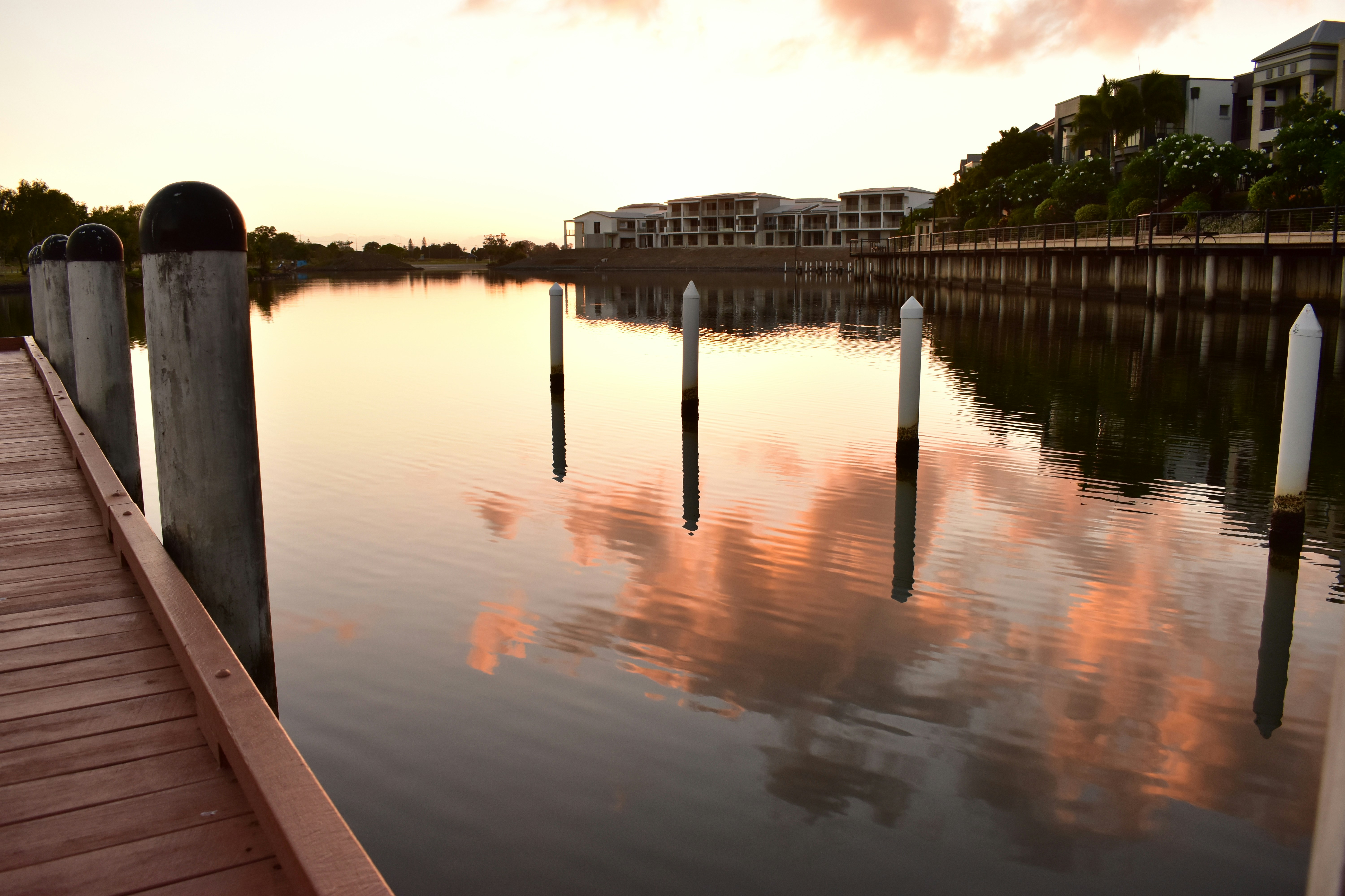 Free Unsplash photo from Cleo Grace