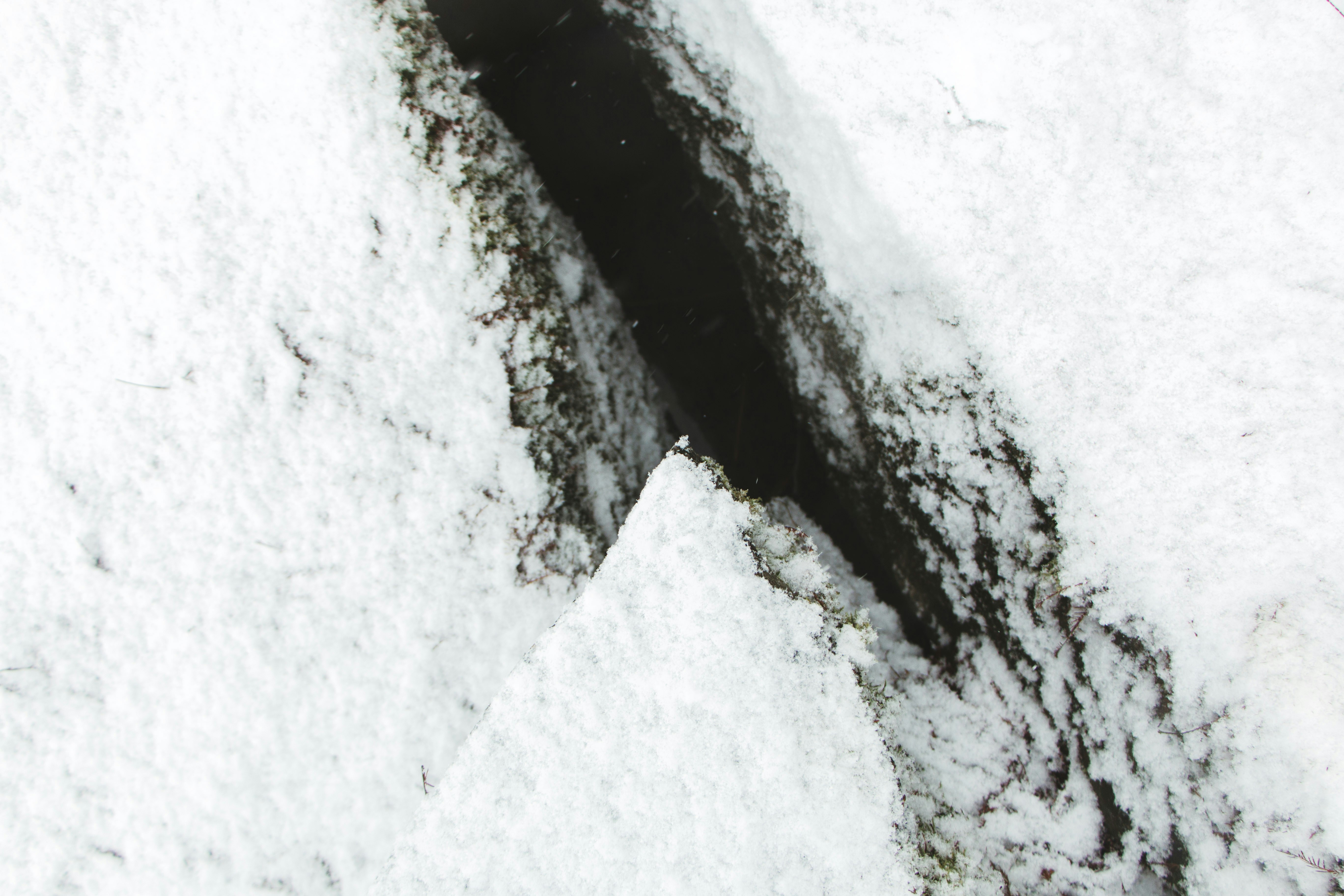 Free Unsplash photo from Robin Vet