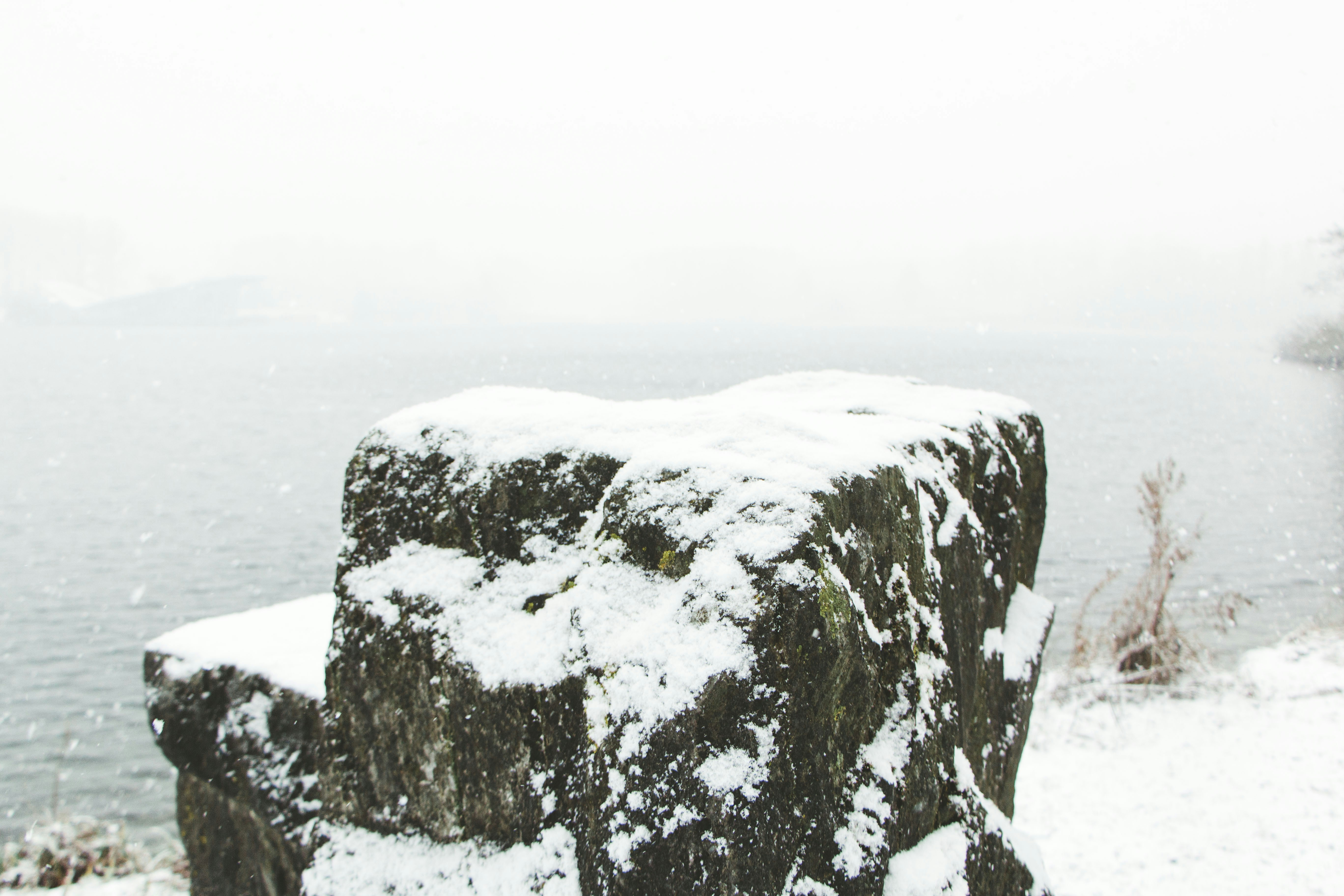 Free Unsplash photo from Robin Vet