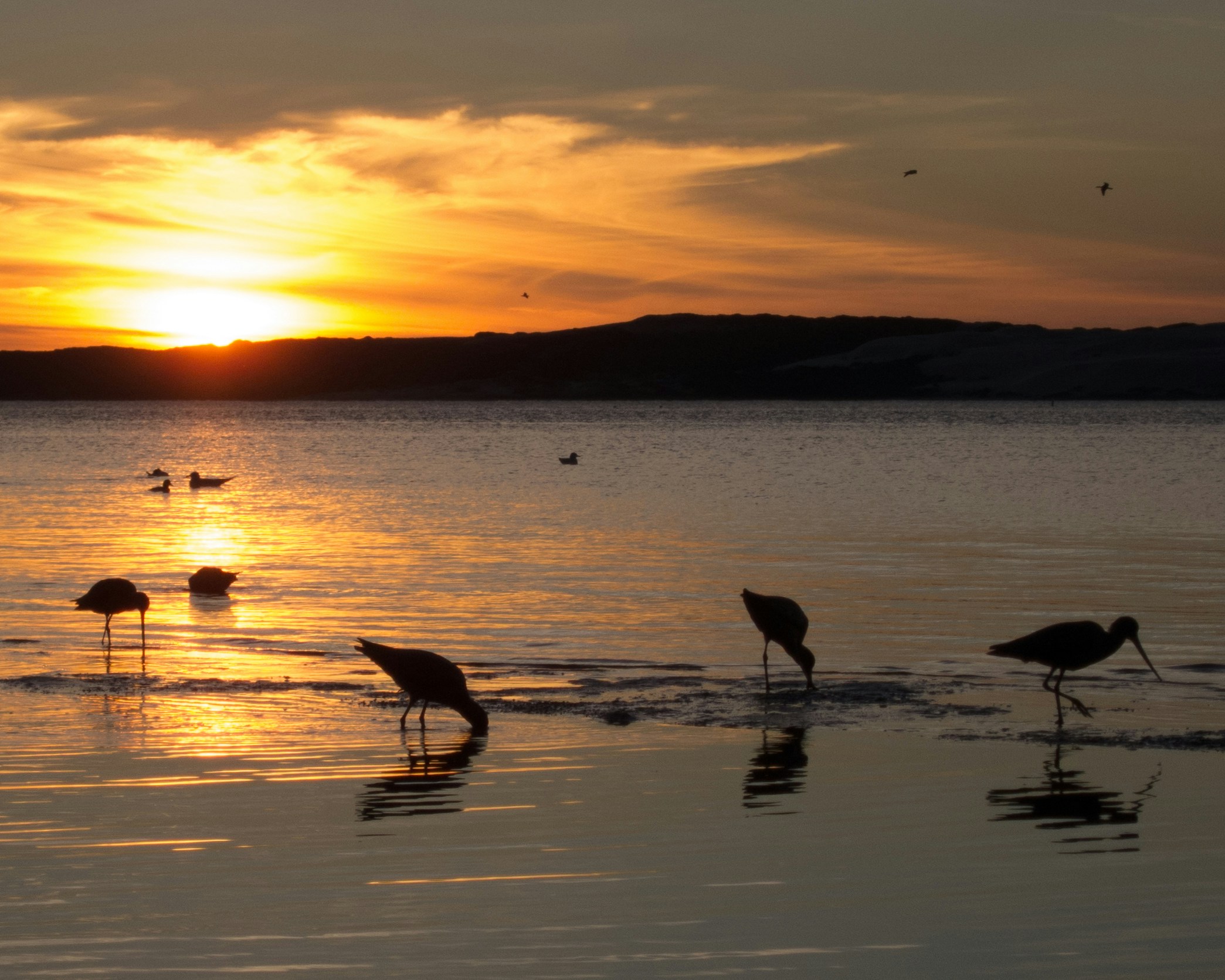 Free Unsplash photo from Samata Katta