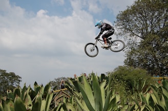 A person is performing a high jump on a mountain bike above a field of large agave plants, wearing a helmet and protective gear. The background features a partly cloudy sky and scattered trees. A small group of spectators is visible, observing the stunt.