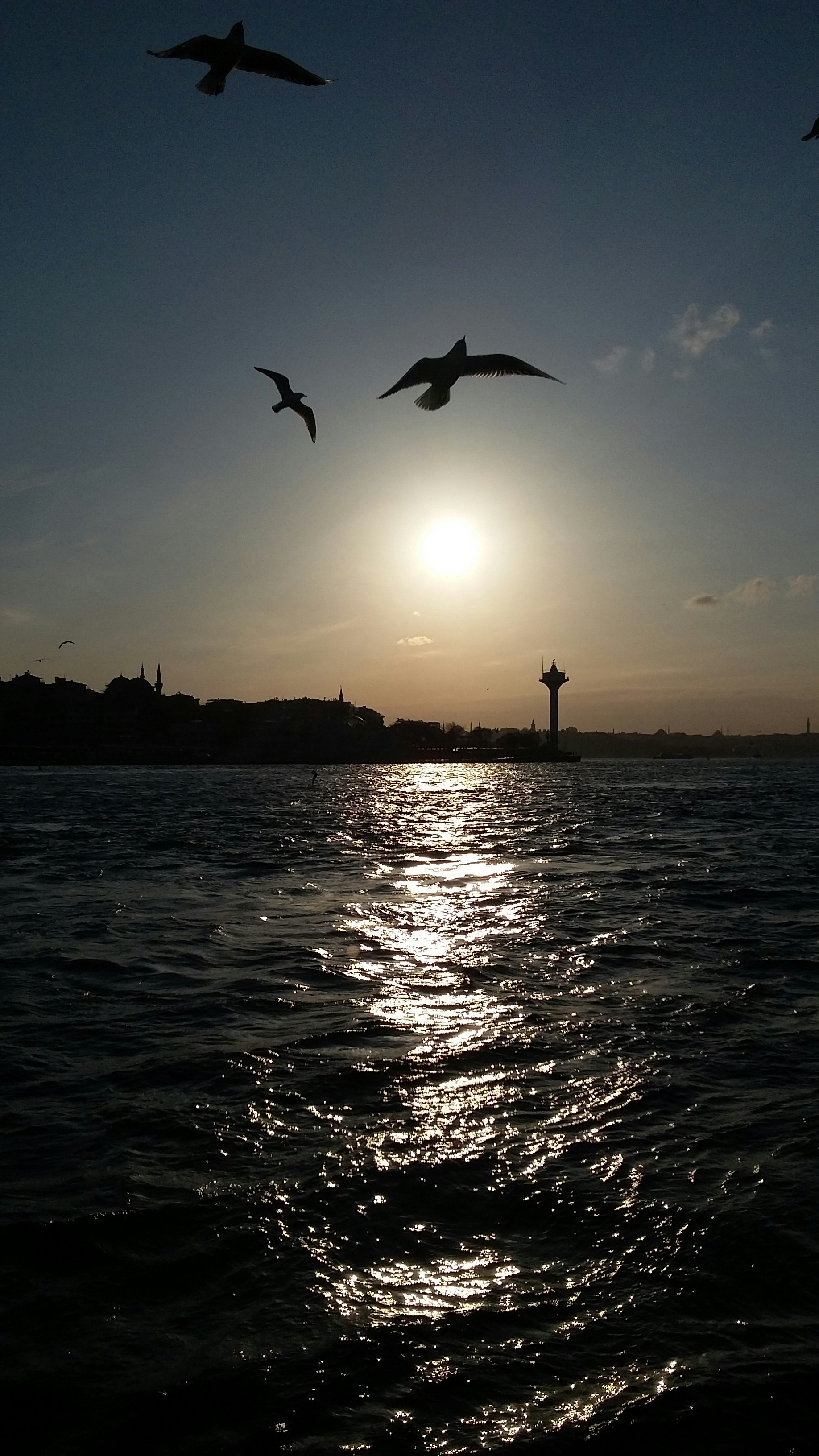 Free Unsplash photo from Nurullah Bozboğa