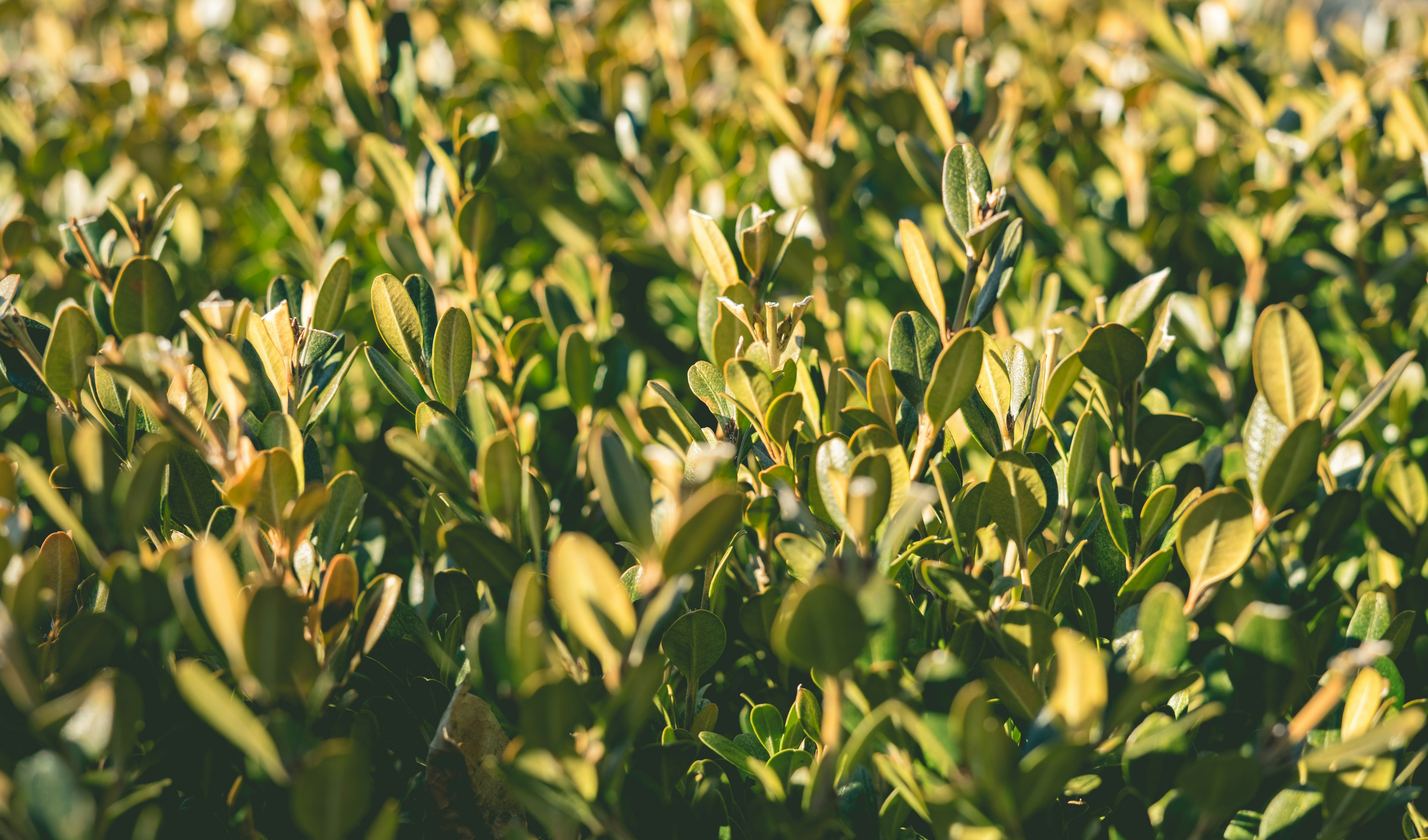 Free Unsplash photo from Jeffrey Wegrzyn