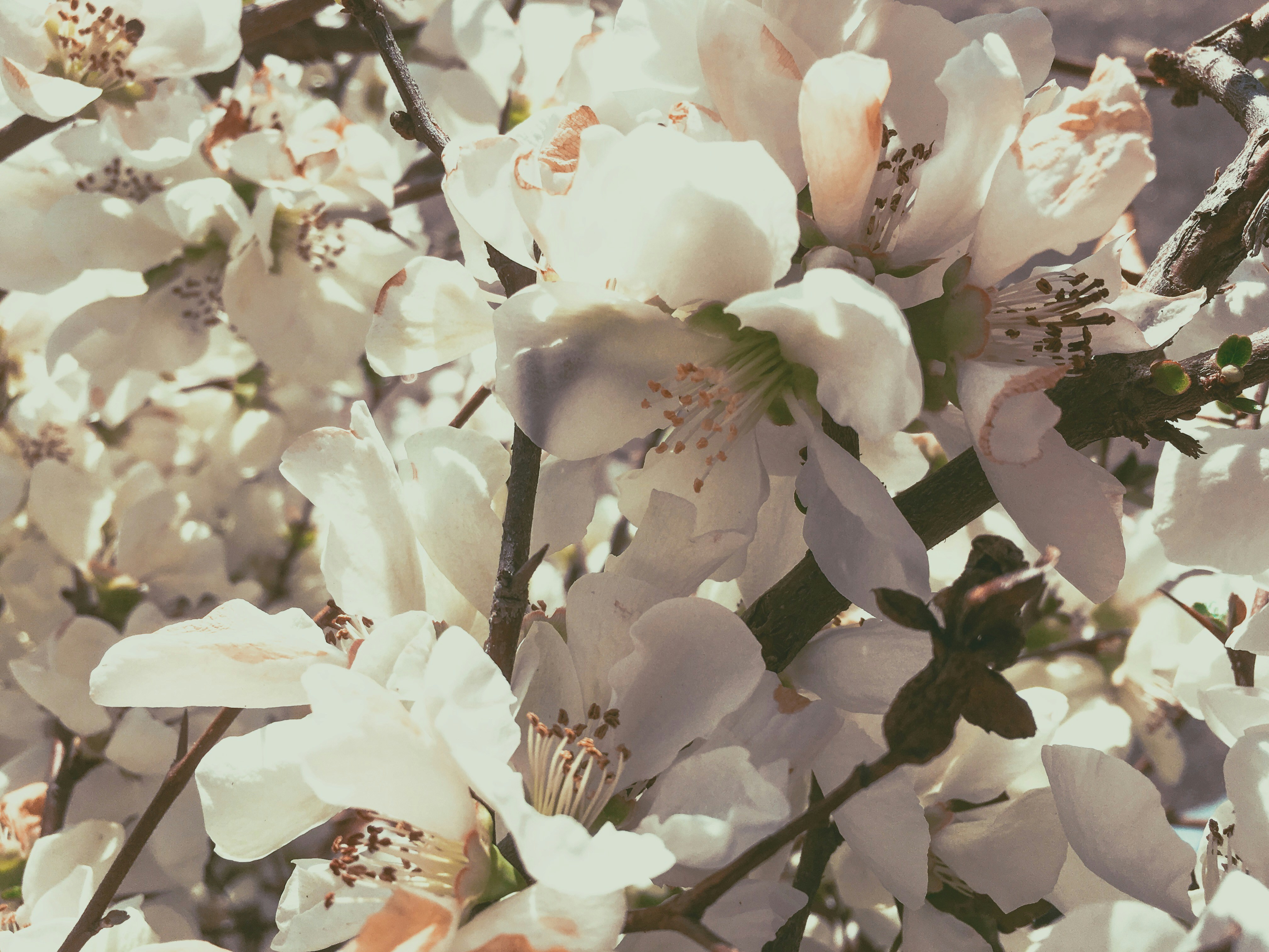 Free Unsplash photo from Gabe Miller