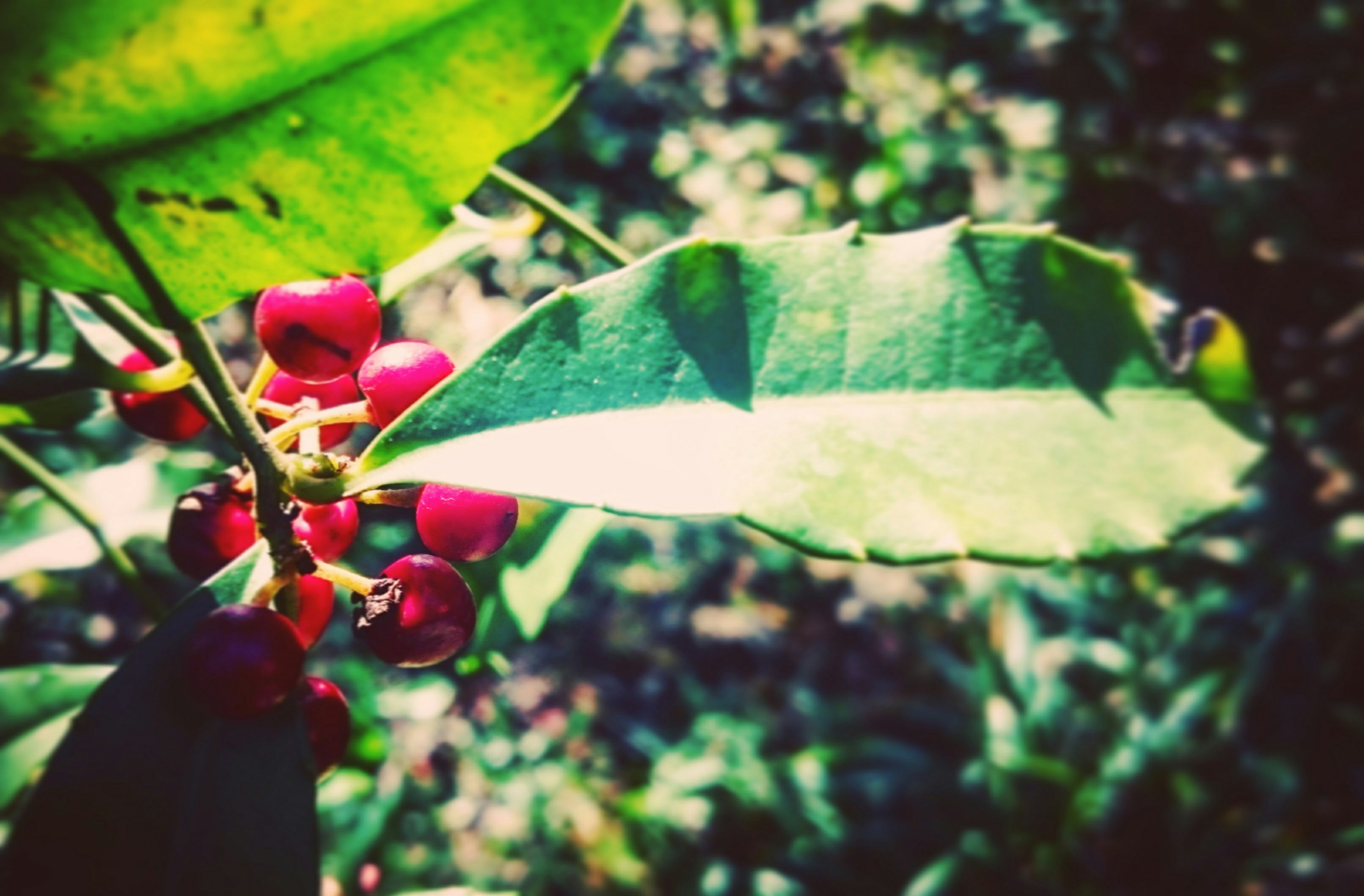 Free Unsplash photo from Peyrong Yang