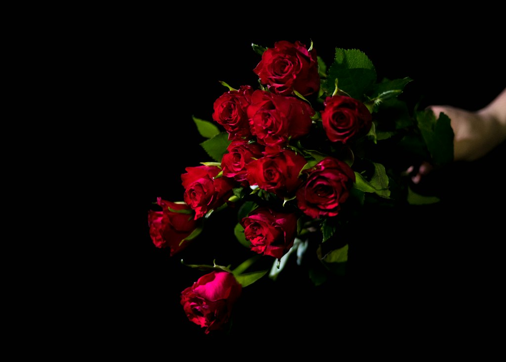 Classic Red Roses