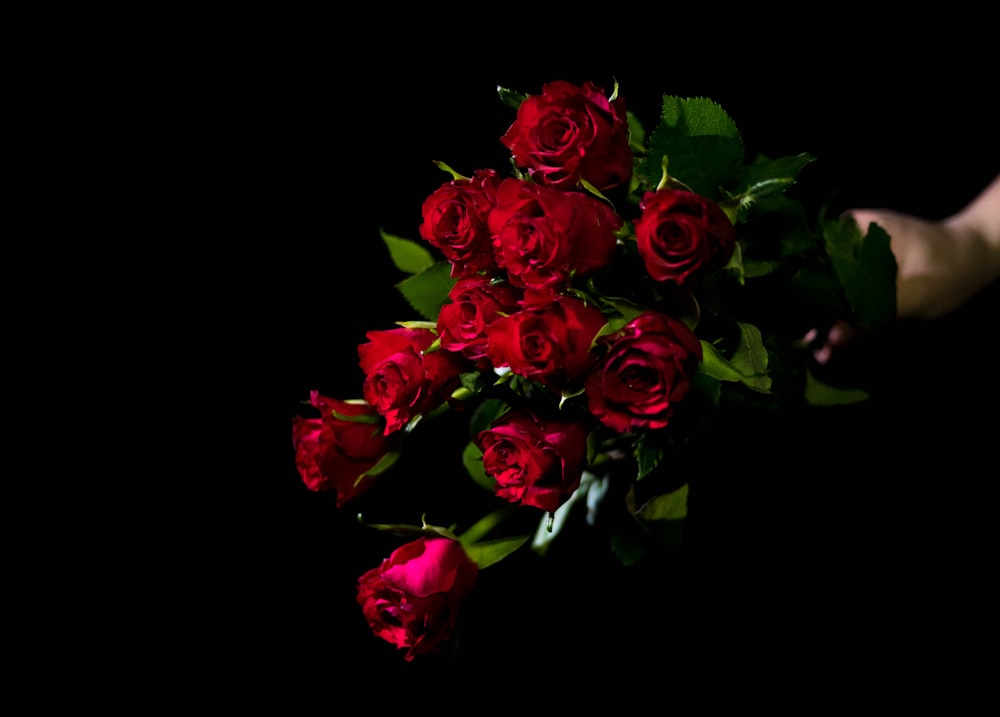 person holds bouquet of red roses