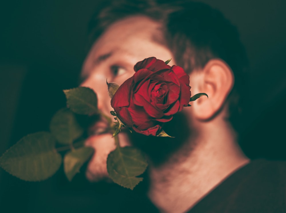 man biting red rose in closeup shot