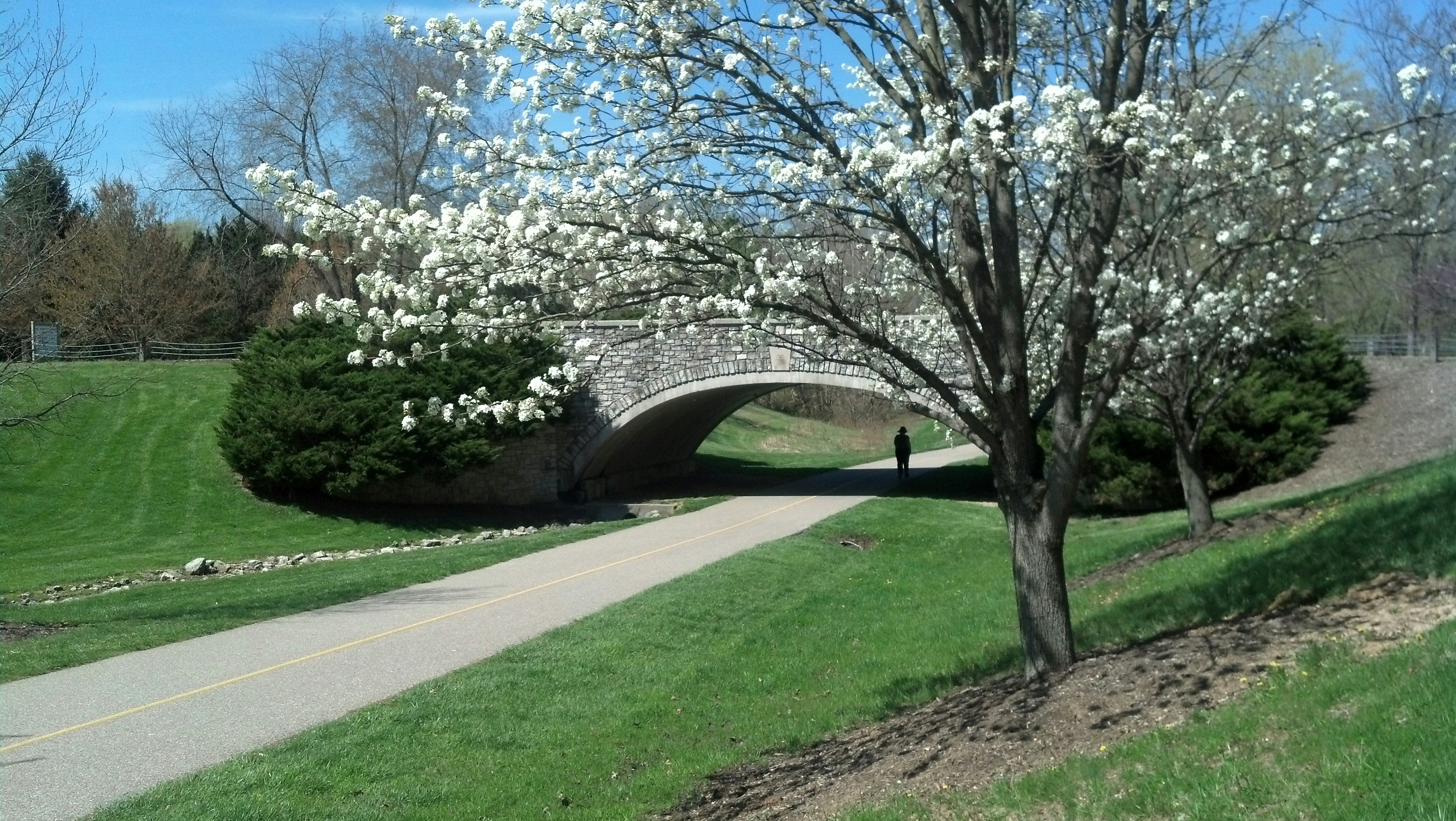 Free Unsplash photo from Stena Mears