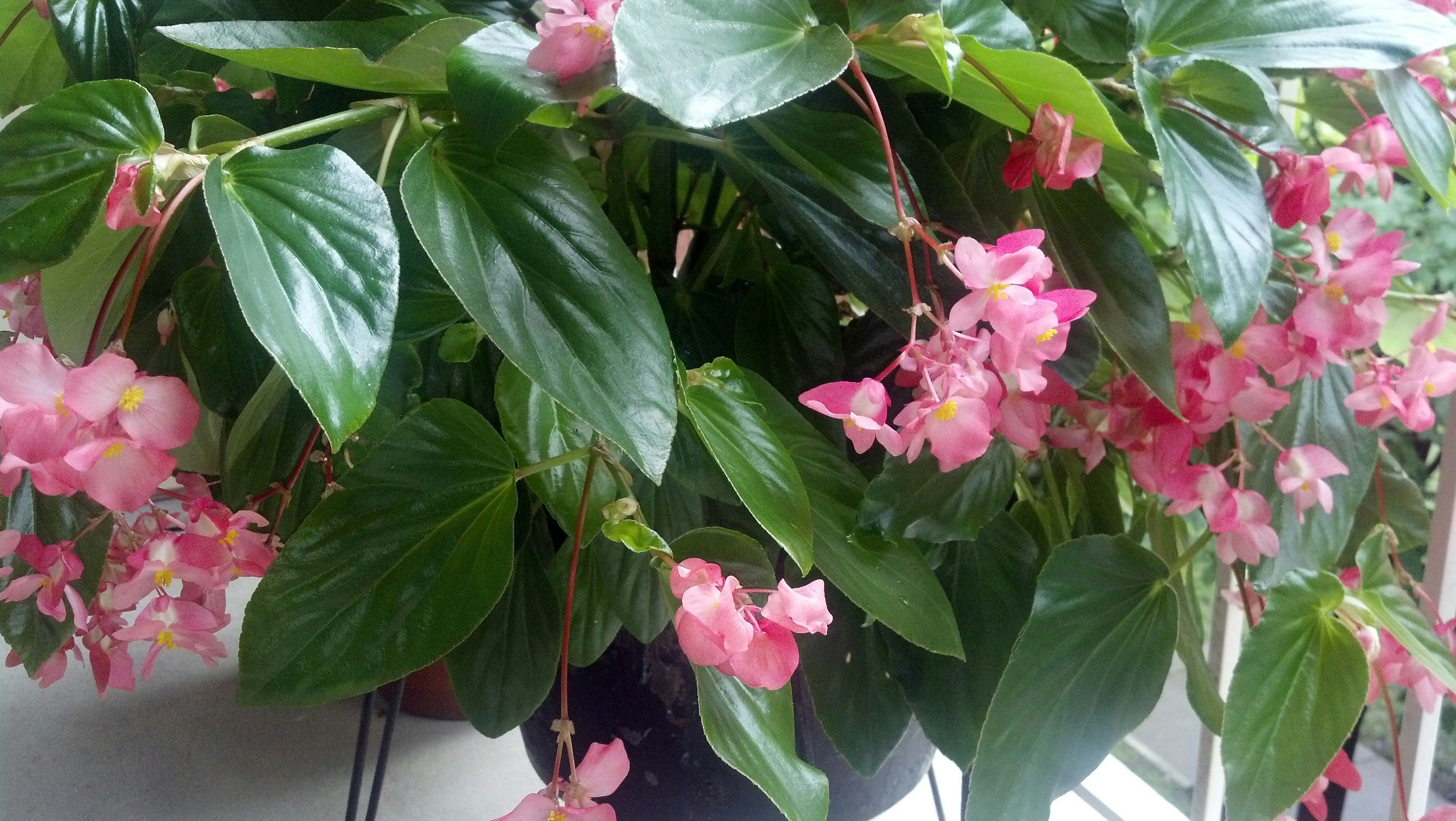 Free Unsplash photo from Stena Mears