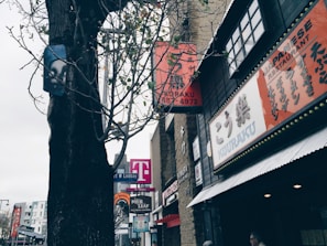 Buildings with signs in Japanese and English line a street, with a large tree in the foreground. A T-Mobile store is visible along with a Japanese restaurant named Kouraku. The scene is urban, with clear skies and some pedestrians.