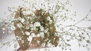 Flores eternas
