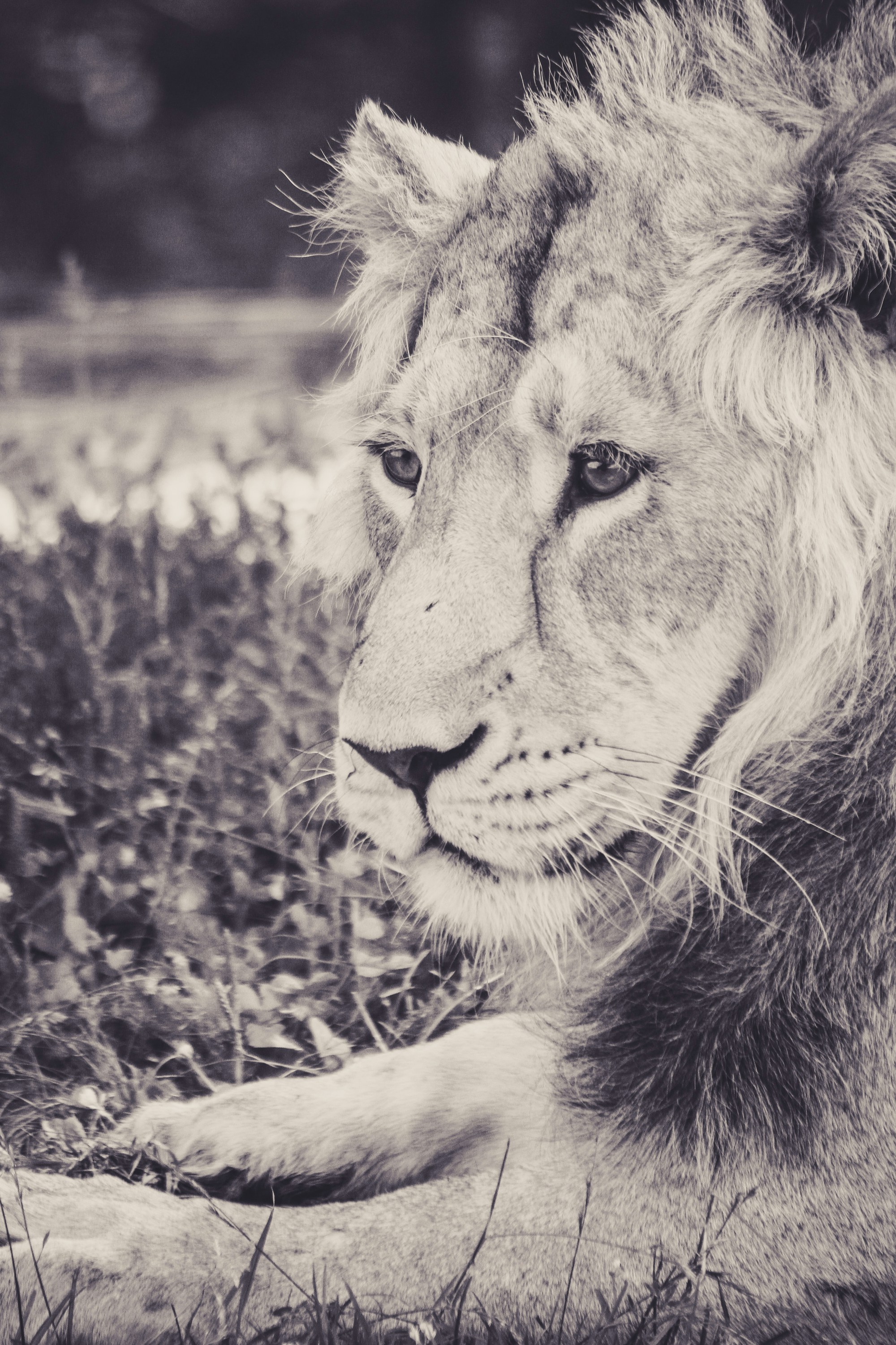 Free Unsplash photo from Frida Bredesen