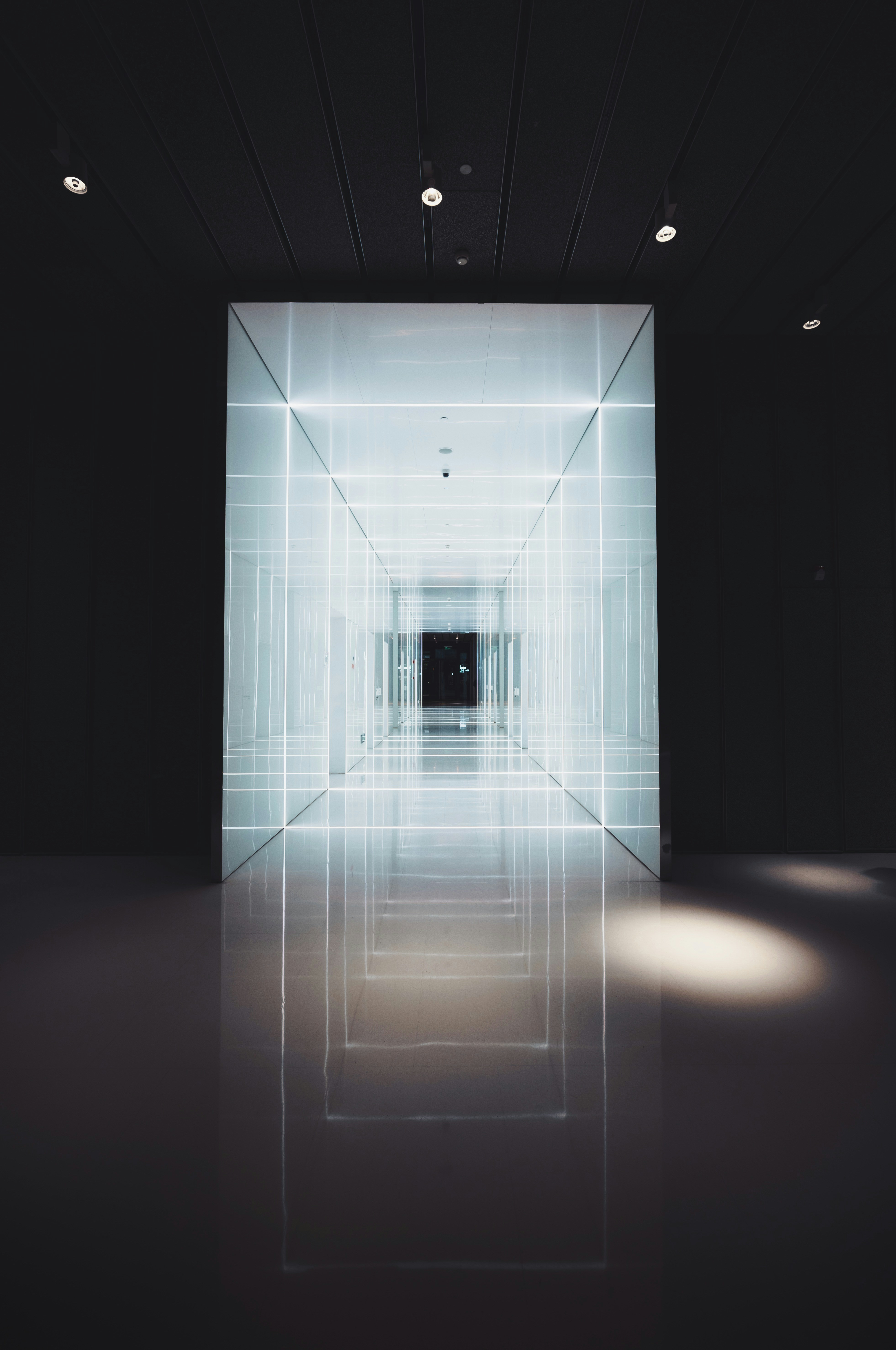 Free Unsplash photo from Alessio Lin