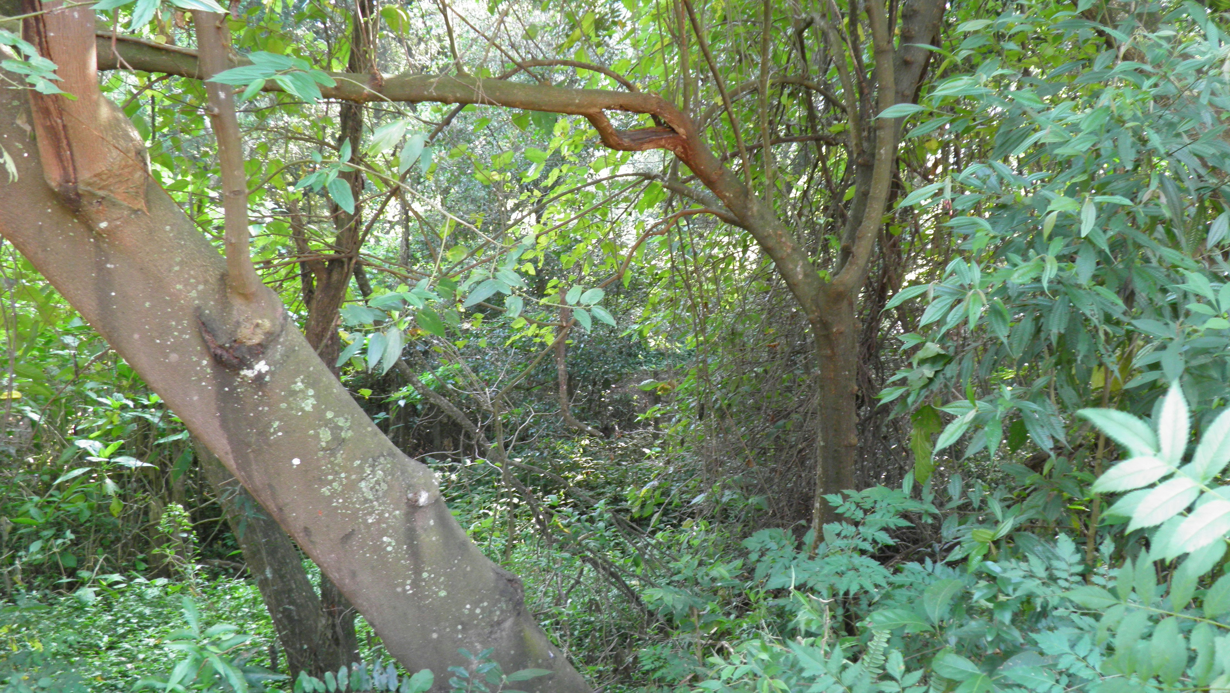 Free Unsplash photo from ana luisa anker