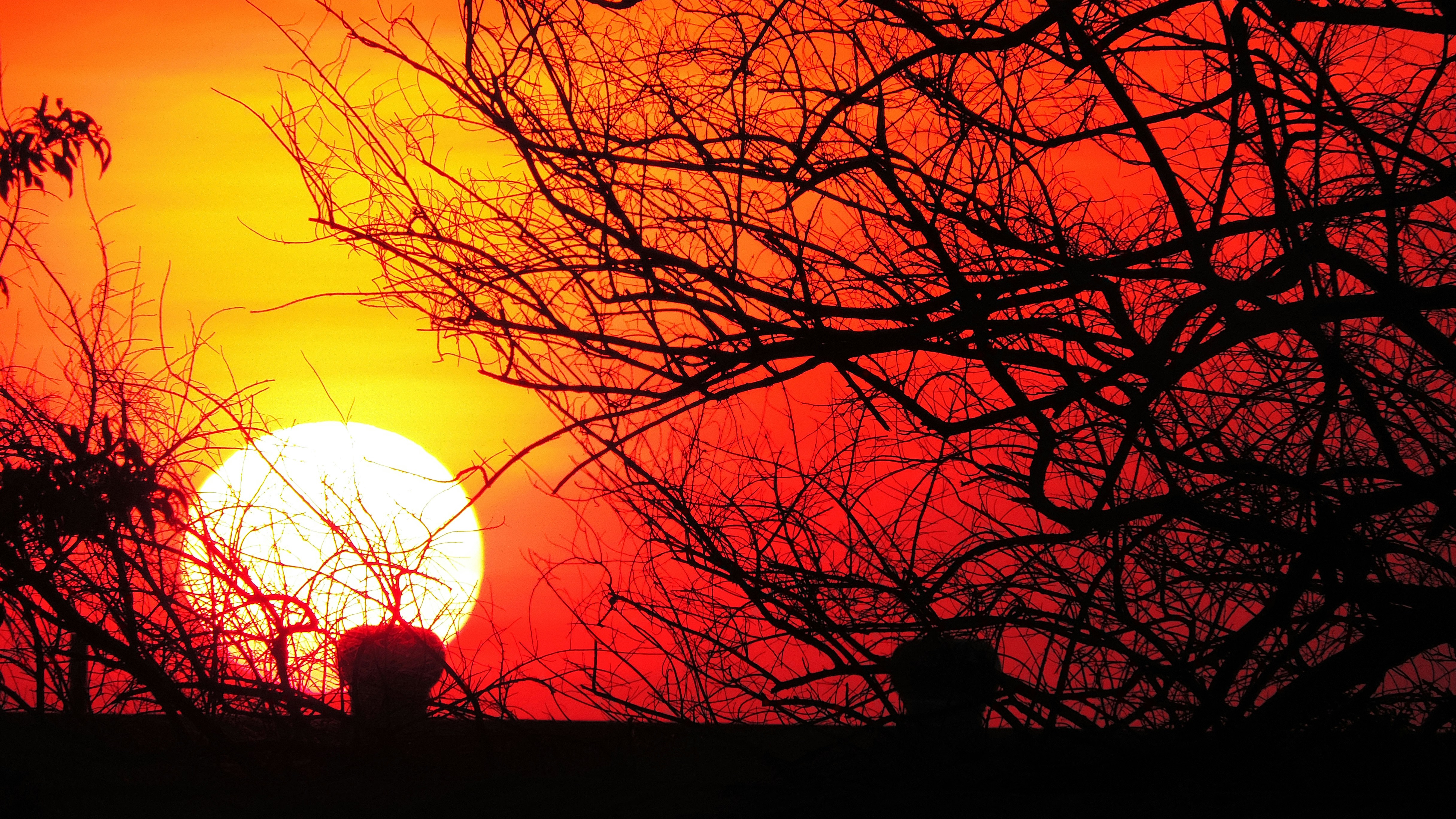 Free Unsplash photo from Christmann Érico