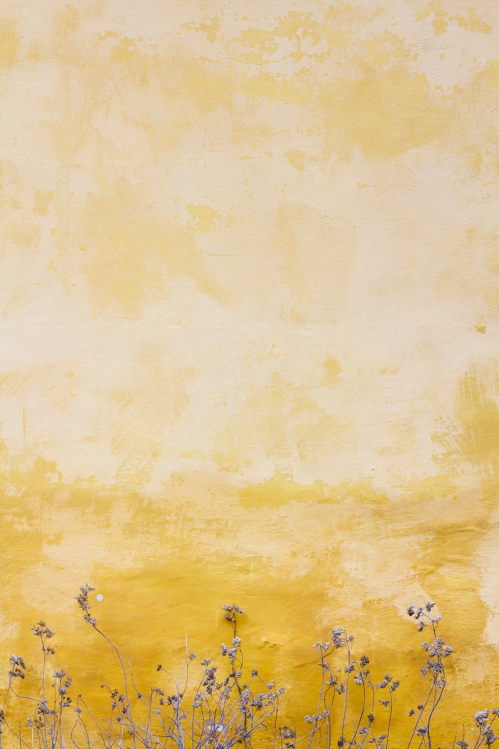 flowers beside yellow wall photo – Free Texture Image on Unsplash