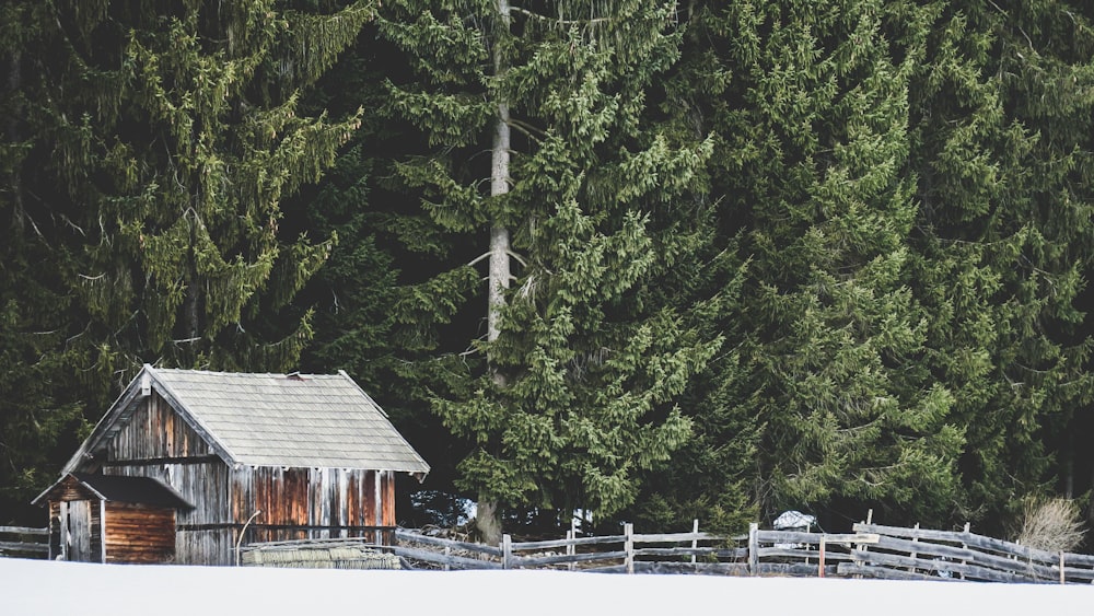 ranch beside forest